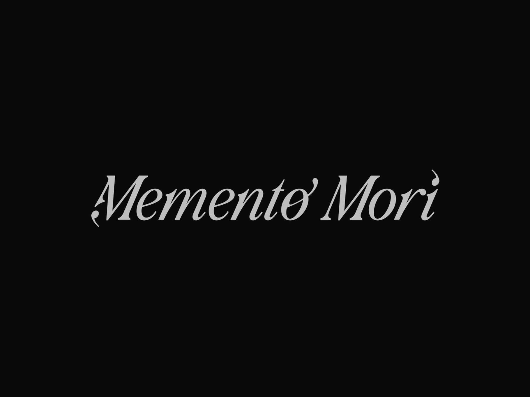 Sophisticated and clean calligraphic brand asset showcasing custom-tailored editorial serif typography.
