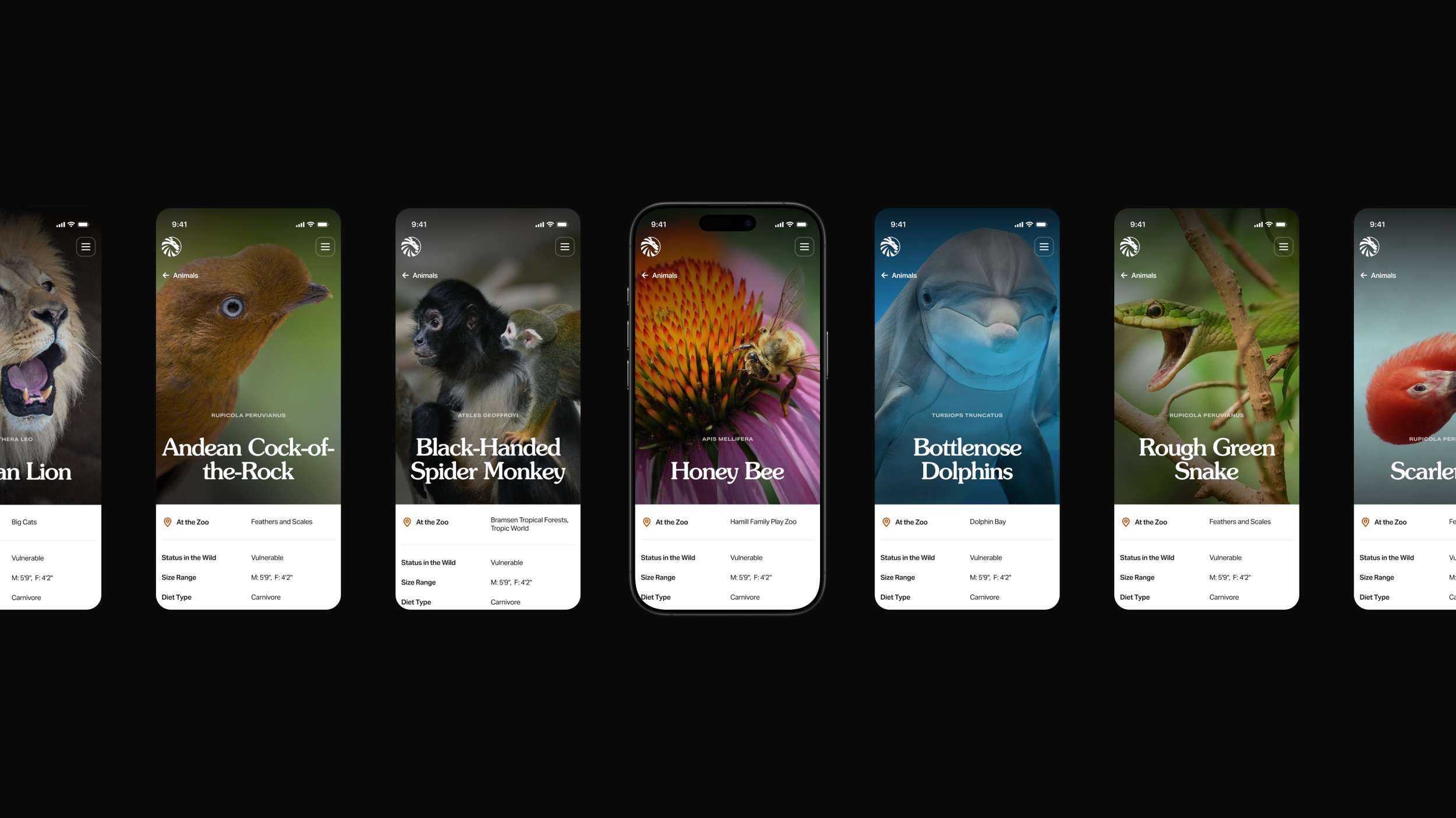 A series of mobile user interface screens illustrating a standardized layout for animal facts, featuring full-bleed photography and structured taxonomic data points.
