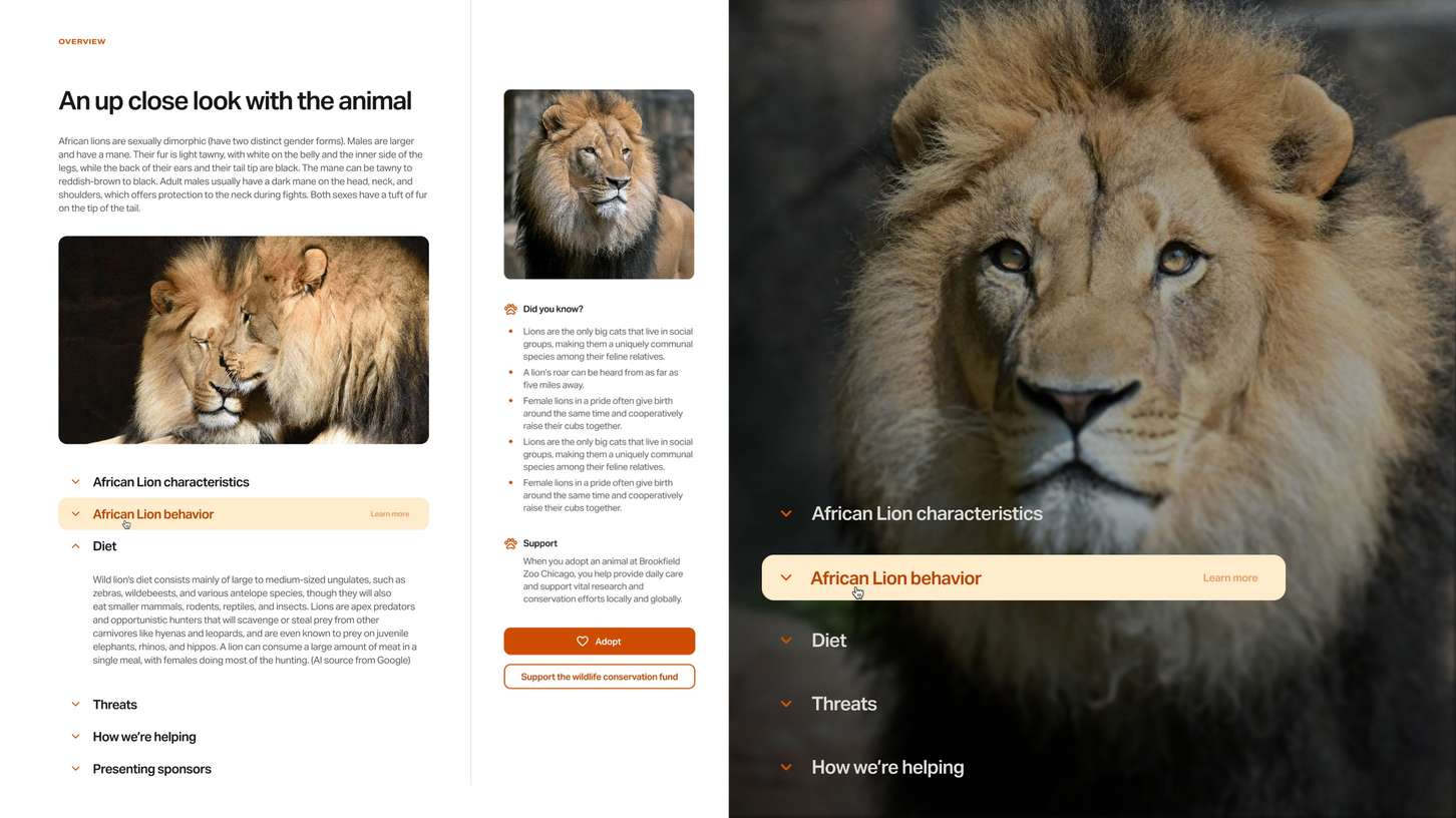 Detailed web interface layout showing information architecture, dropdown text blocks, and structured side panels for an animal adoption landing page.