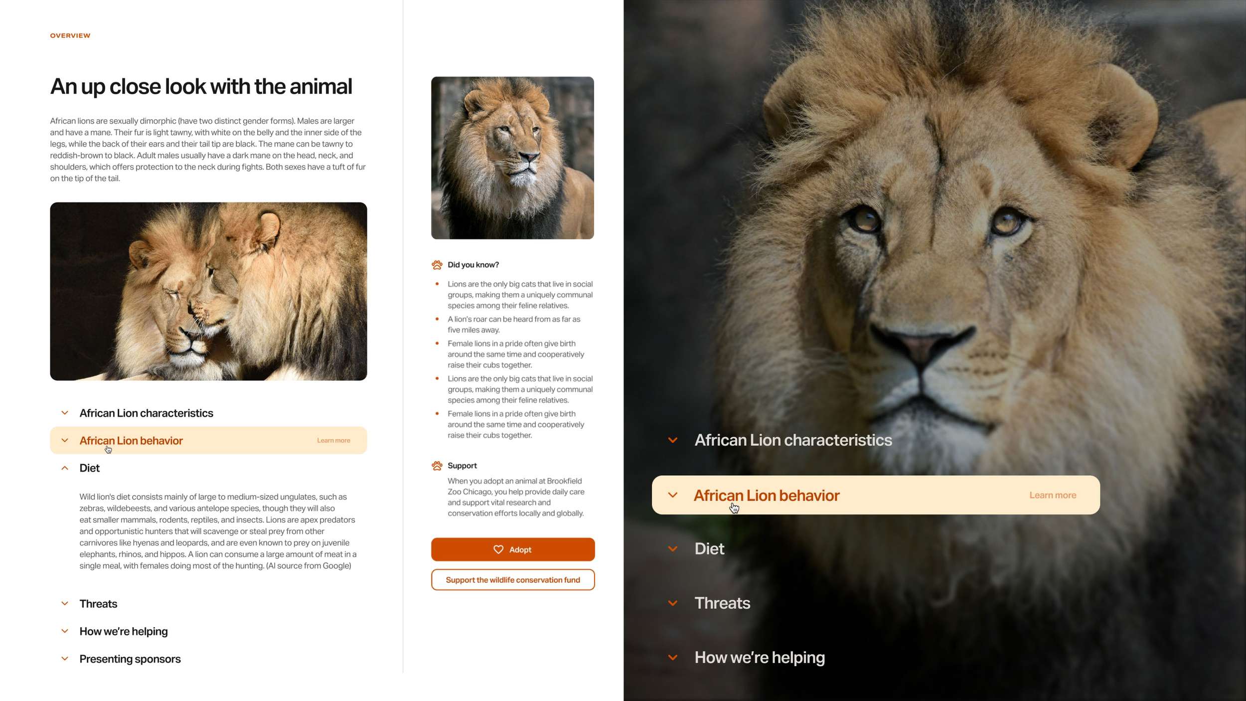 Detailed web interface layout showing information architecture, dropdown text blocks, and structured side panels for an animal adoption landing page.