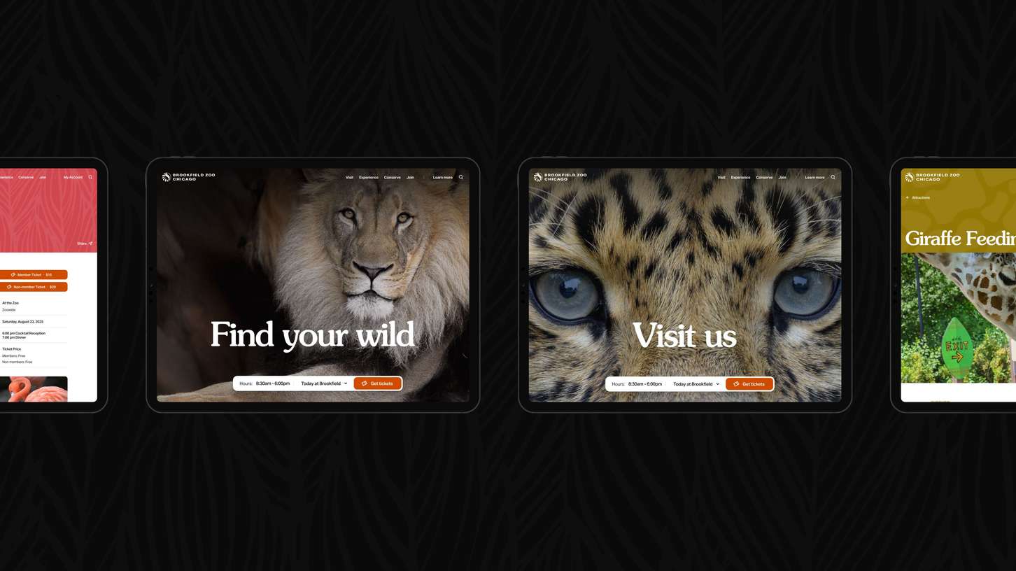 Multi-device user interface mockup presentation showing the desktop homepages, mobile navigation panels, and attraction details for a modern zoo website design concept.