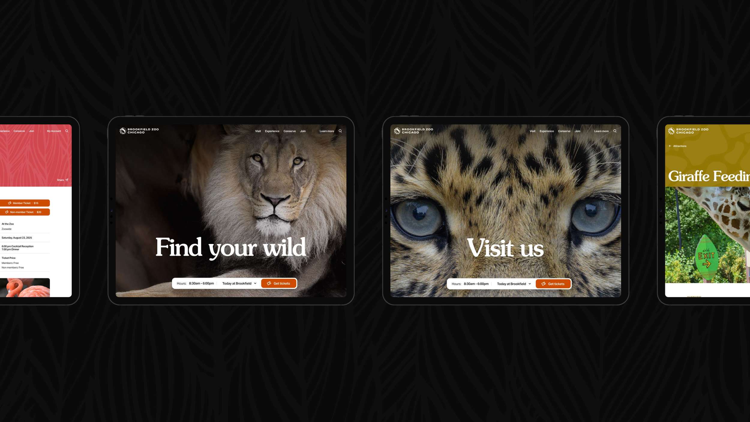 Multi-device user interface mockup presentation showing the desktop homepages, mobile navigation panels, and attraction details for a modern zoo website design concept.