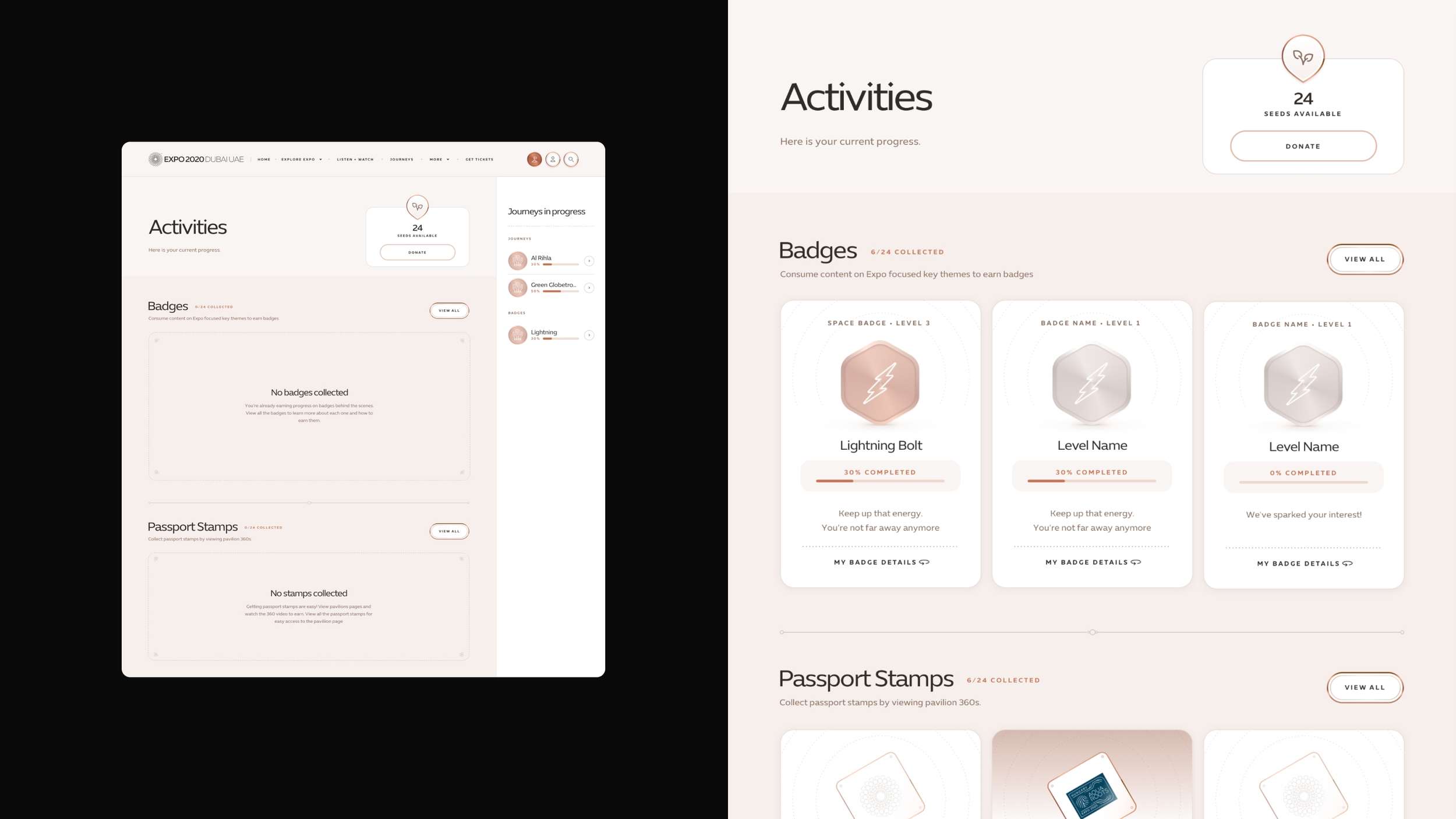 A web dashboard concept detailing gamified user profile metrics, featuring progress tracking bars, achievement badge grids, and virtual passport stamp containers.