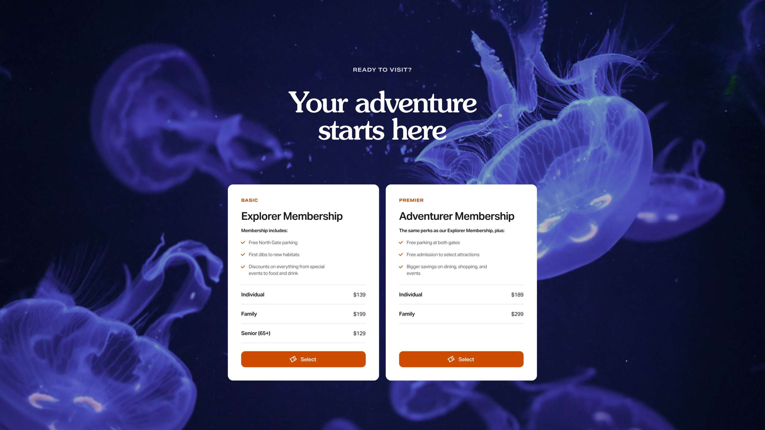 Digital desktop pricing screen interface showing side-by-side membership tier comparison cards laid over a high-contrast dark jellyfish photography header.