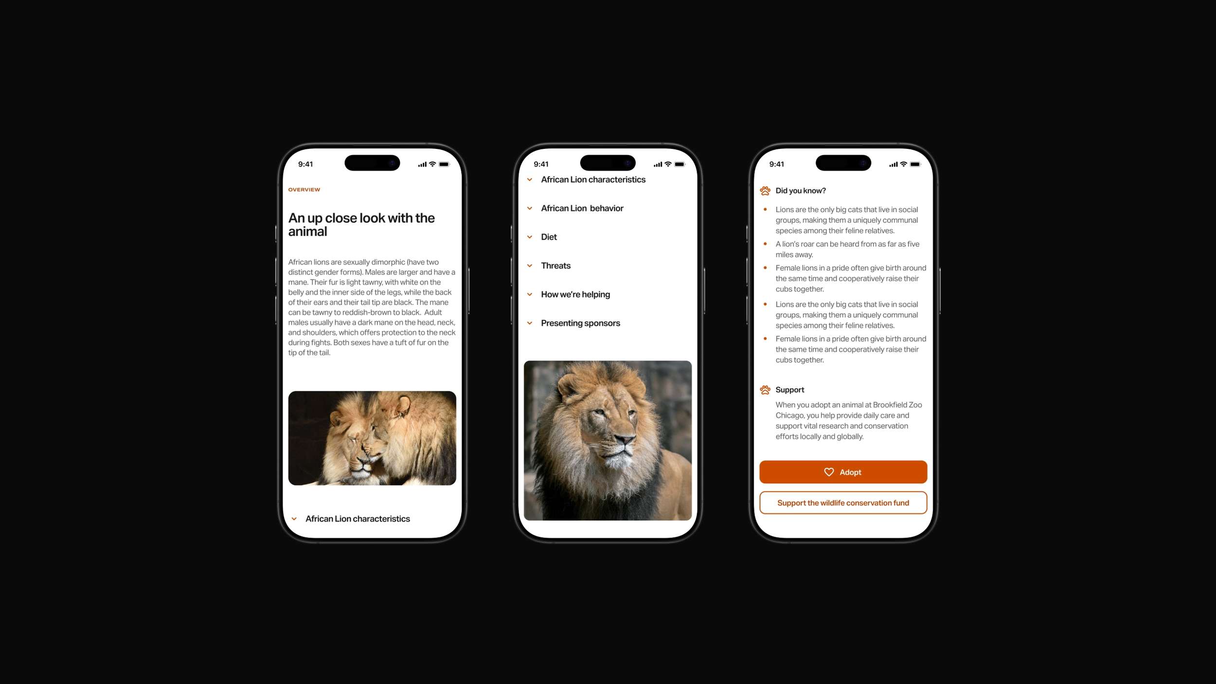 Mobile responsive view breakdown of a wildlife profile page, showing text hierarchies, drop-down menu states, and donation CTA buttons across three phone mockups.