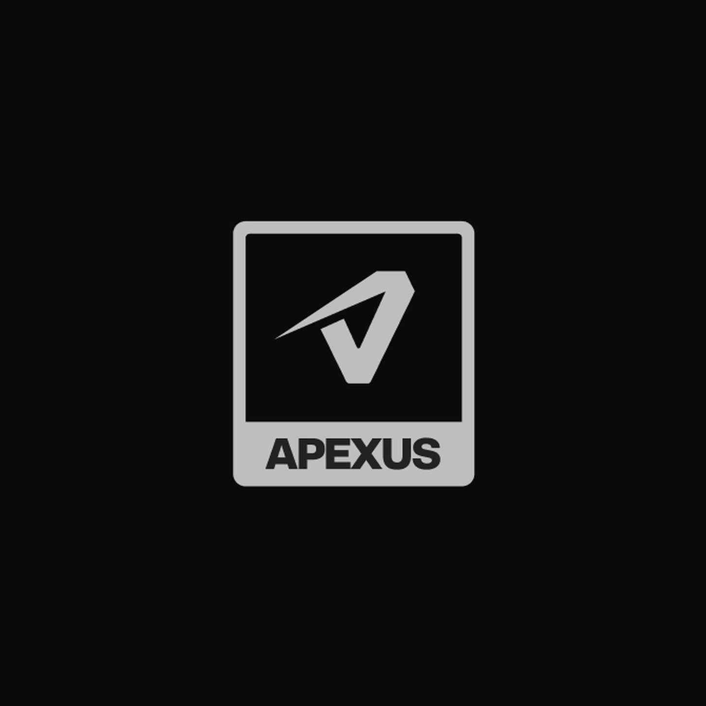 Modern corporate badge variant featuring a high-contrast aerodynamic emblem and lowercase-styled block wordmark within a structured frame layout.