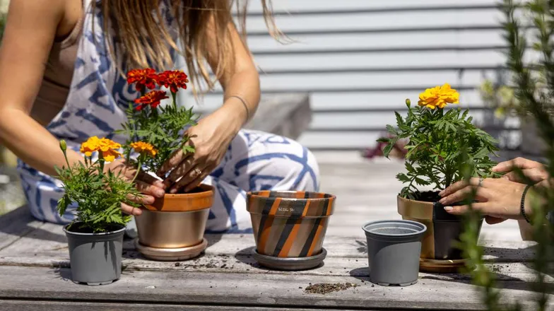 DIY Painted Pot Plants with White Knight Squirts
