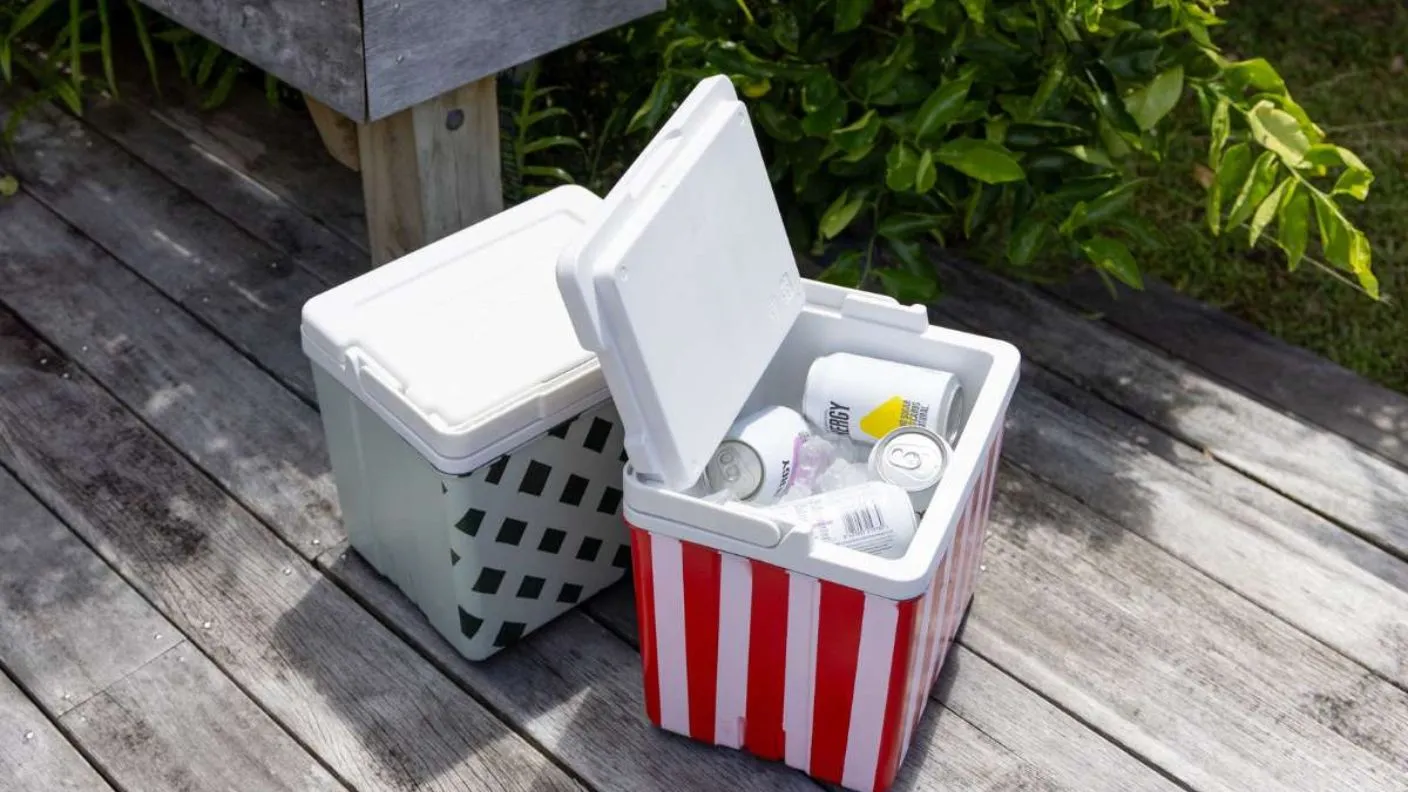 DIY spray painted esky sitting side by side on wooden deck, painted in White Knight Squirts