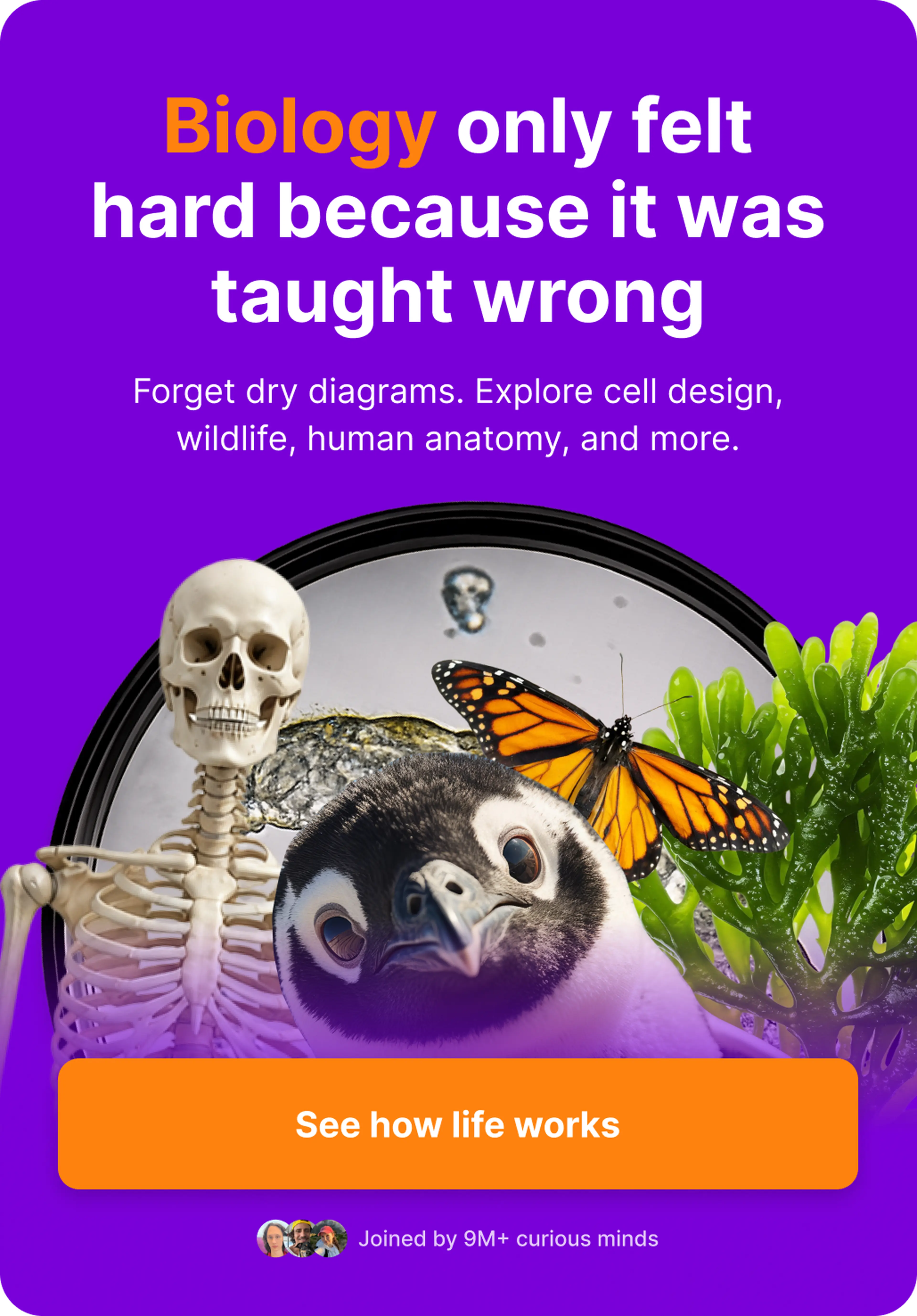 Mobile biology microlearning app banner on purple background with a human skeleton, monarch butterfly, curious penguin, green tropical plants, and a DNA double helix in the background