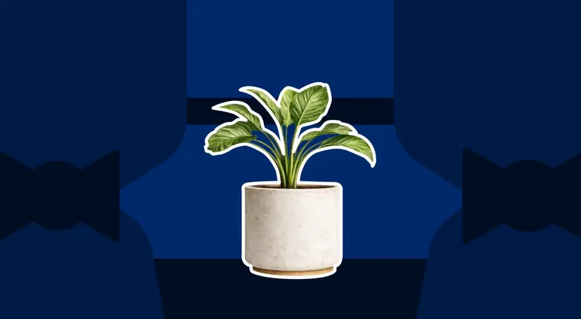 Personal Growth Tools for People Who Don't Have Time for Self-Help