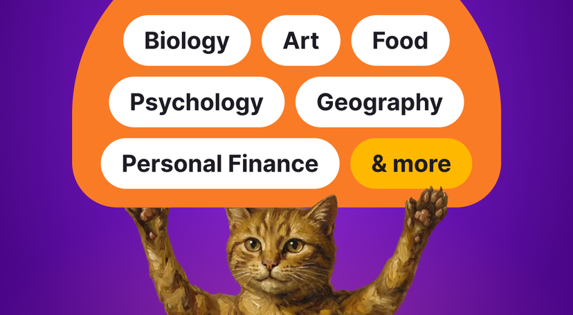 Studying Curiosity: What Nibble’s In-App Data Reveals About Its Users