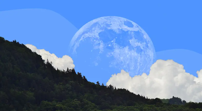 Can You See the Moon During the Day? Best Times to Look