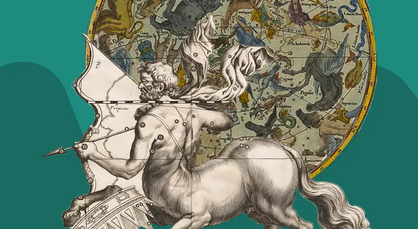 Facts About Constellations: What the Night Sky Is Telling You