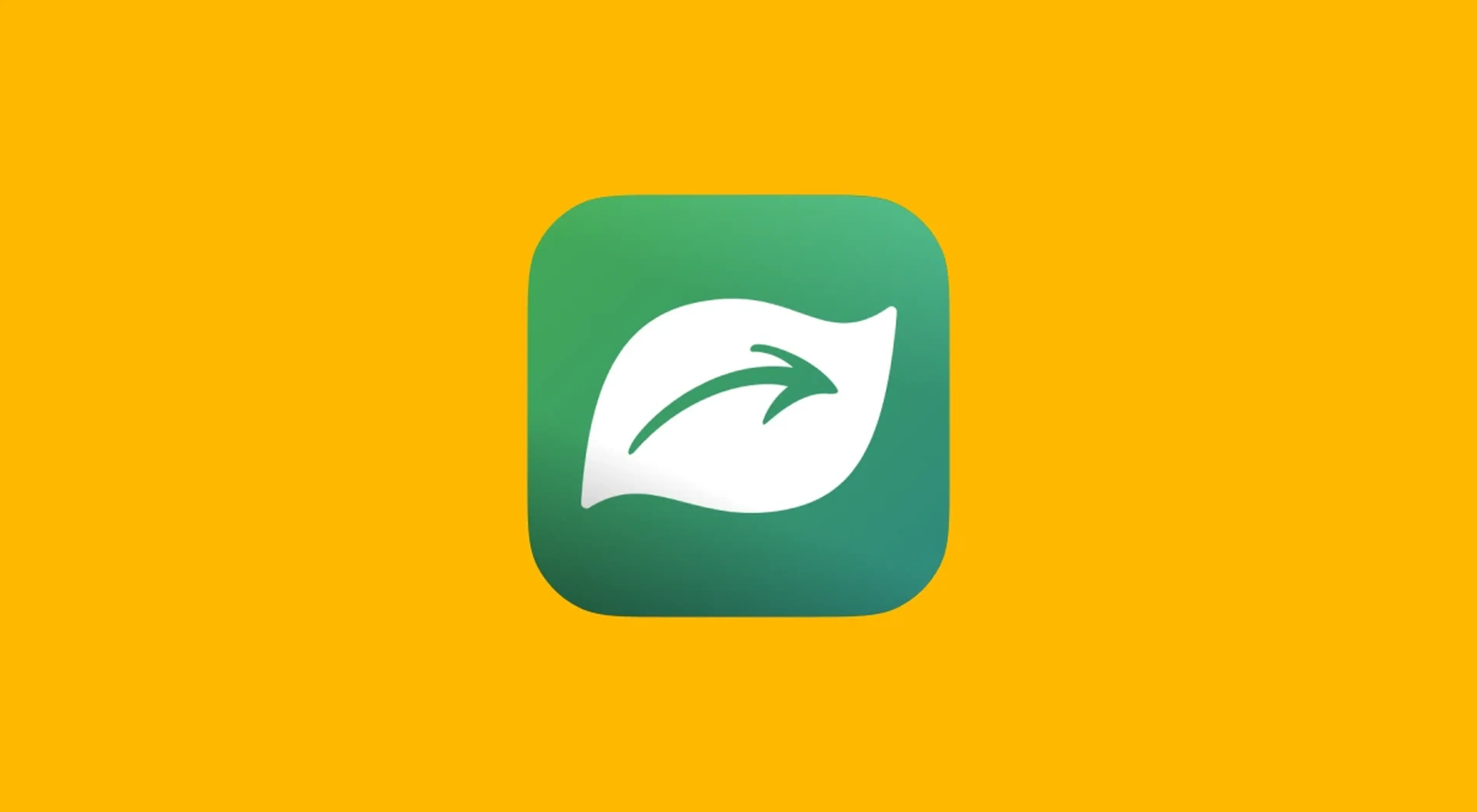 Seek app icon featuring a white leaf on a dark green gradient background, displayed on a bright yellow background