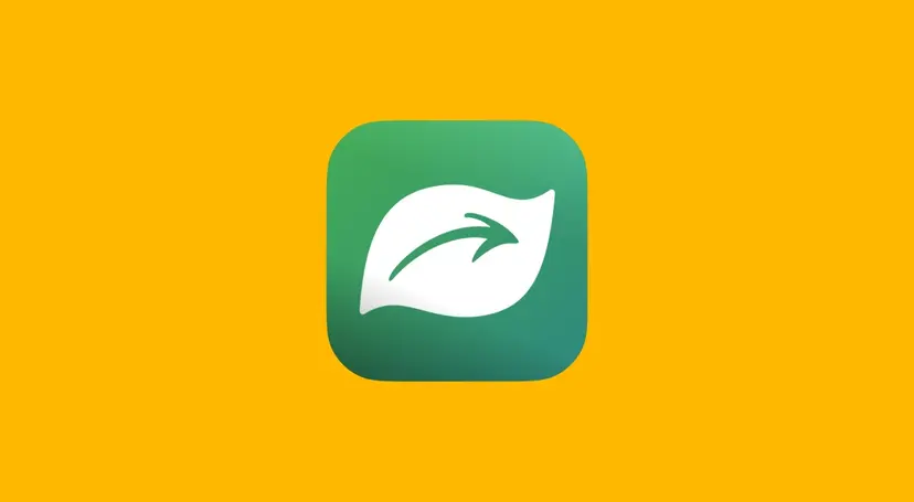 Seek App Explained: Features, Limits, and a Better Way