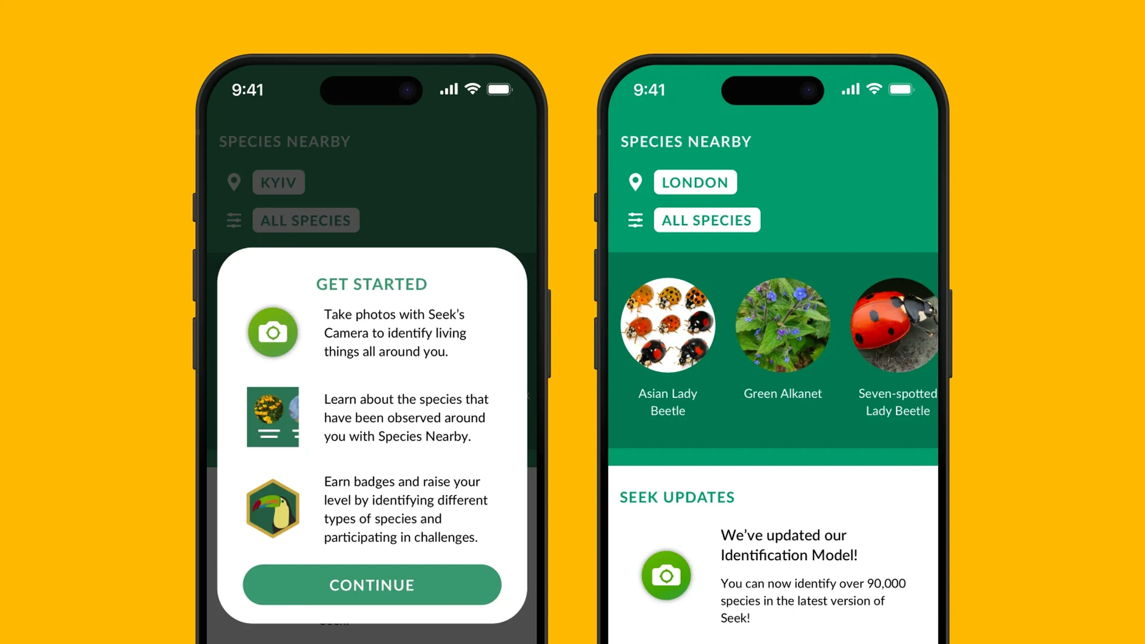 Two smartphones on a yellow background showing Seek app screens with Species Nearby feature, displaying a get started guide and identified species including Asian Lady Beetle and Green Alkanet in Lond