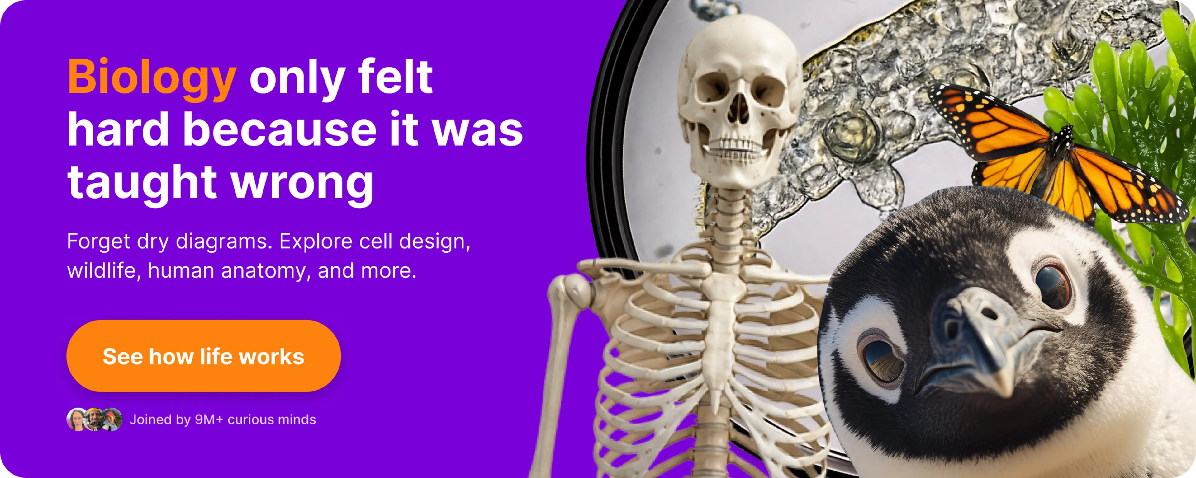 Purple promotional banner for a biology microlearning app featuring a human skeleton, monarch butterfly, penguin, tropical leaves, and a DNA helix illustration on the right side