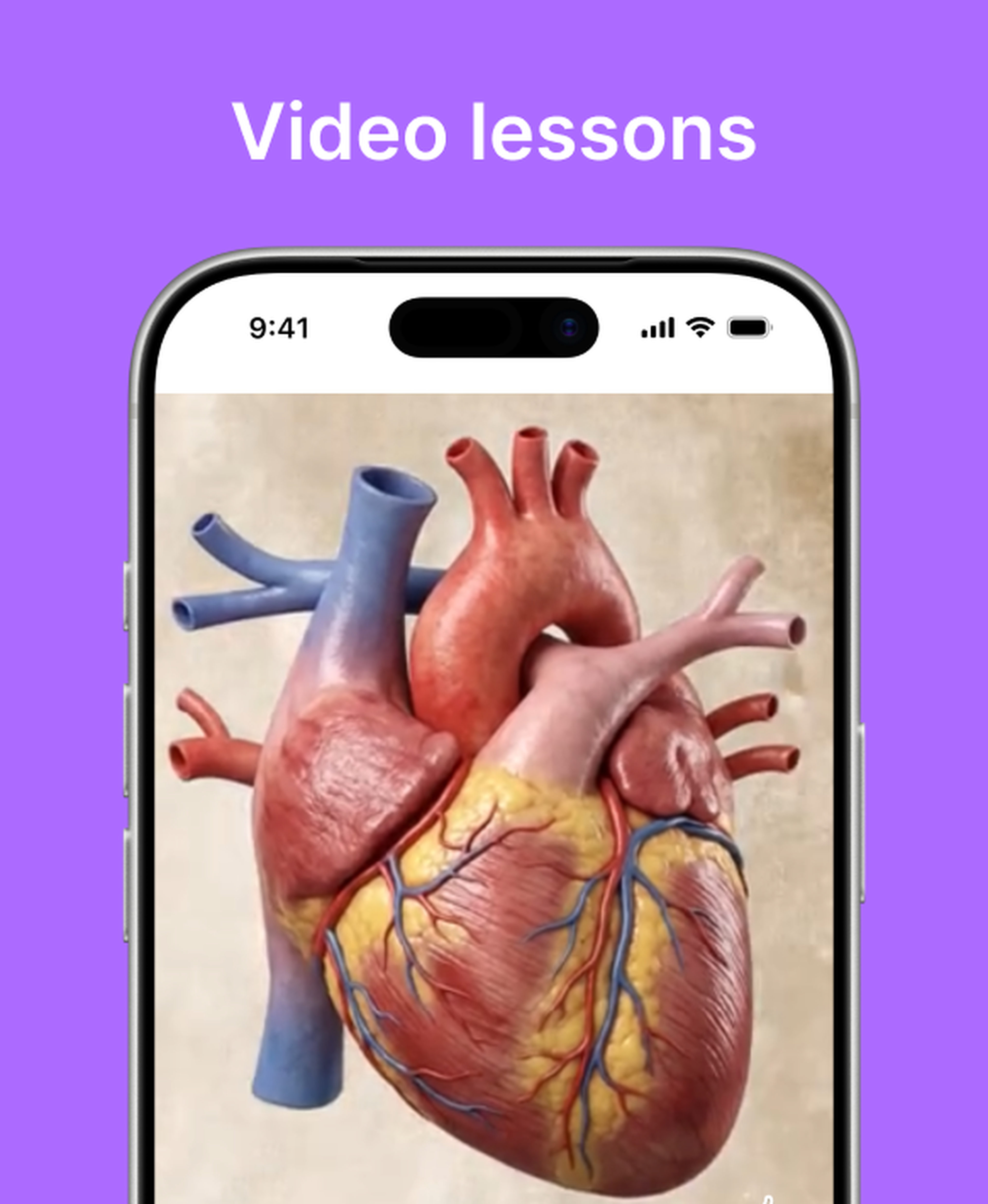 Nibble app video lesson on an iPhone under a Video lessons heading, showing a detailed anatomical illustration of a human heart, on a purple background