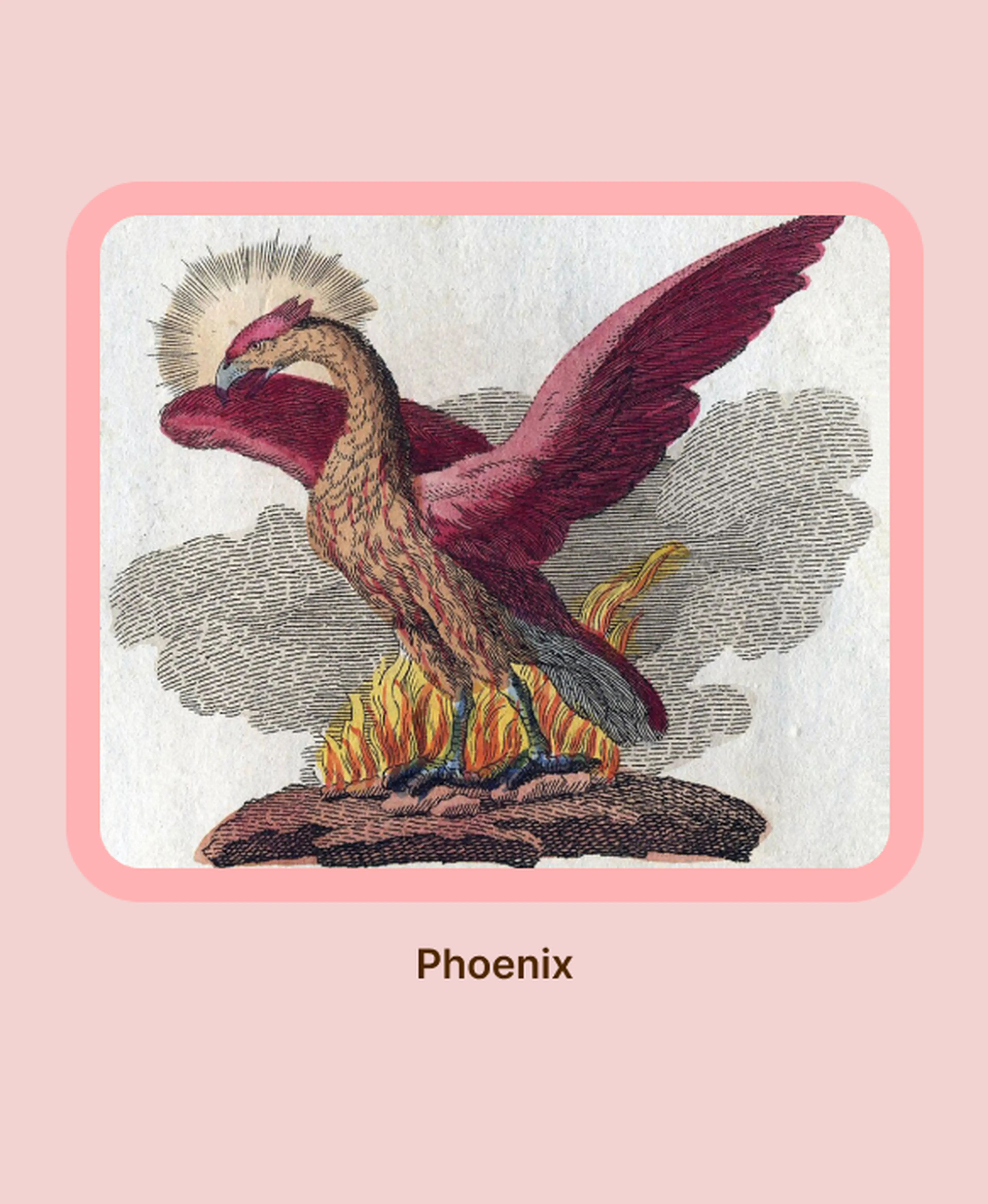 Vintage illustration of a Phoenix with crimson and gold plumage rising from flames, a mythical creature linked to Greek mythology themes like Nemesis, on a pink card labeled Phoenix