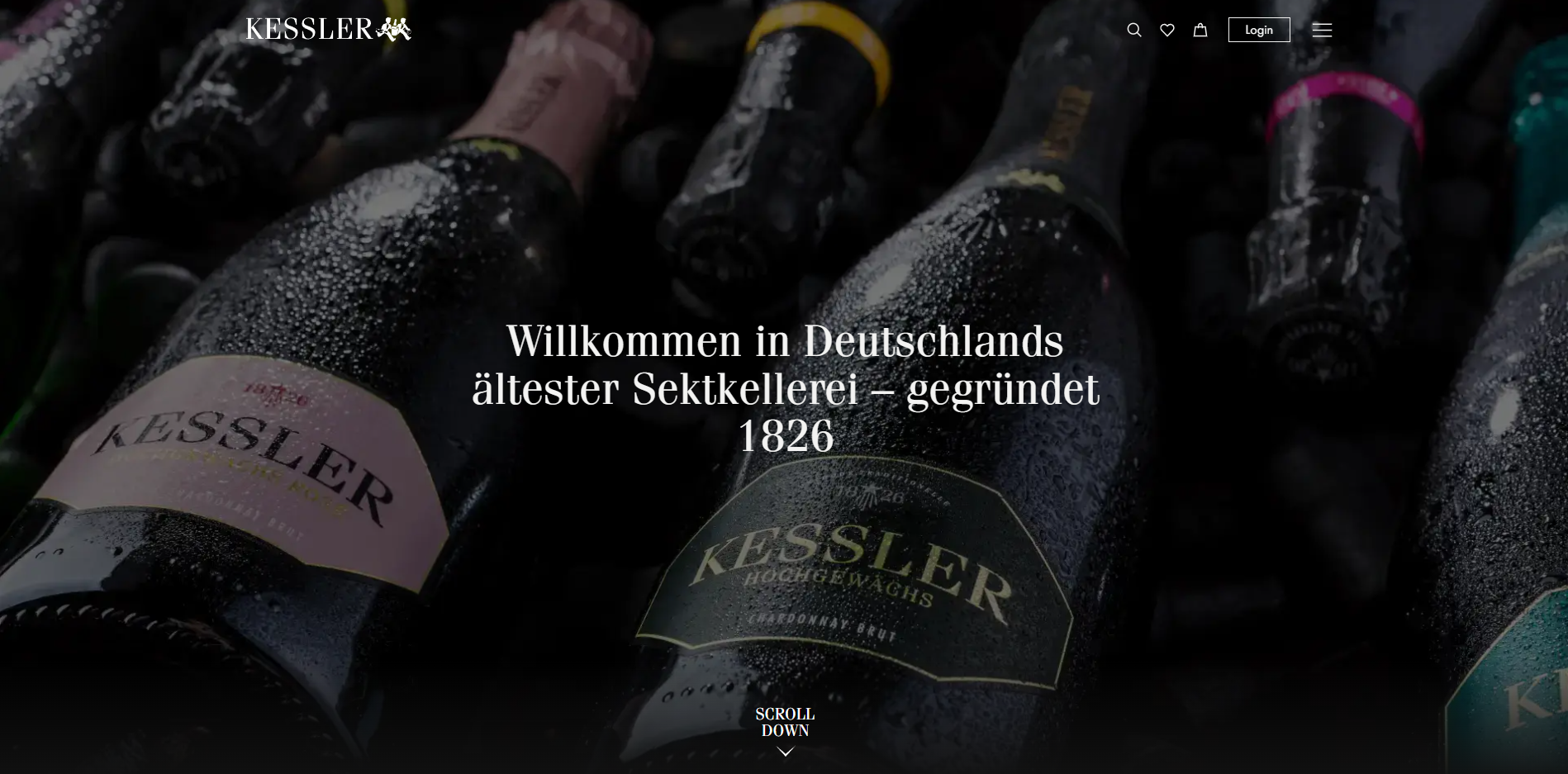 Ein Bild von der Startseite der Website