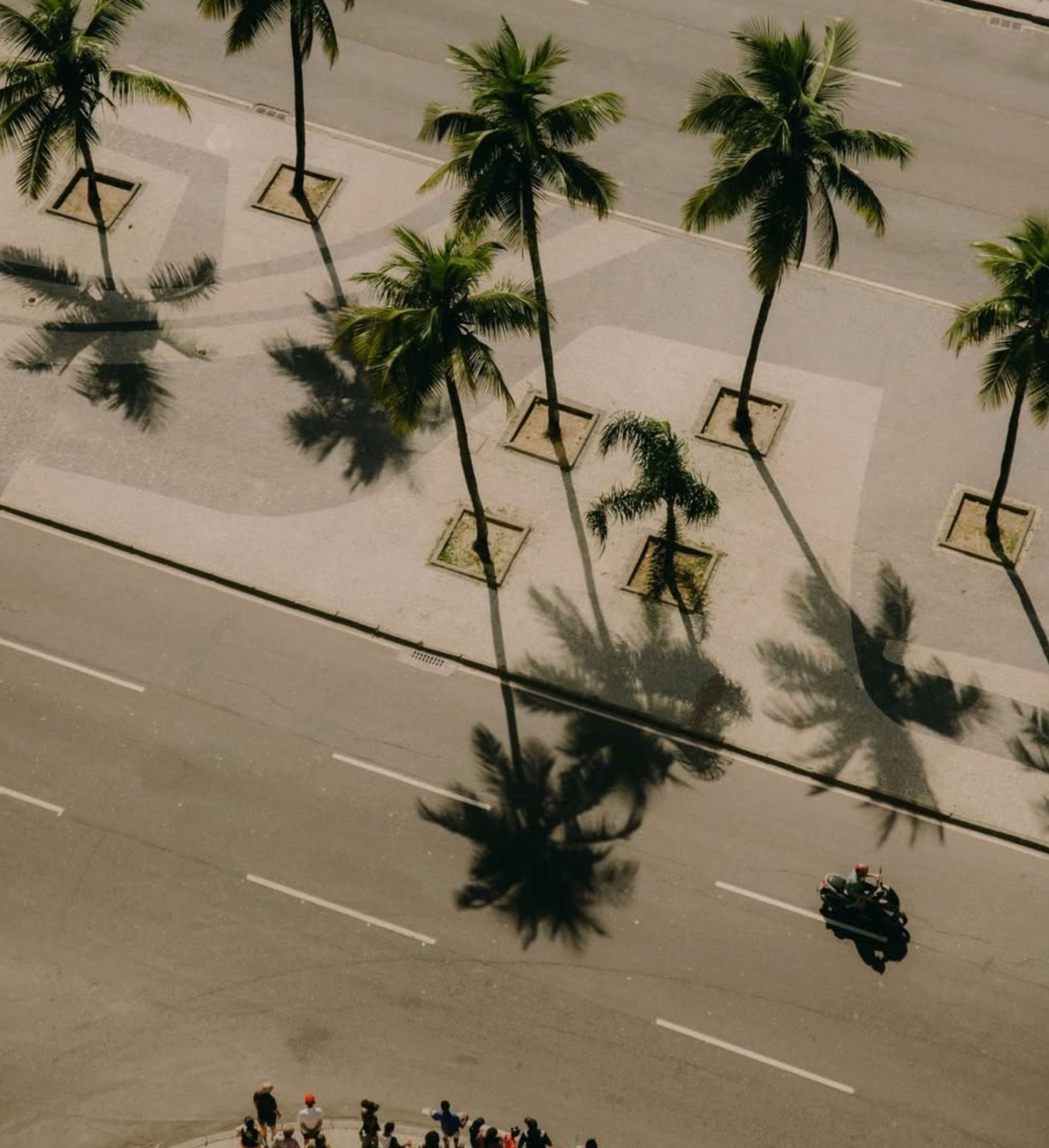 Perroquet Hotels Neighborhood