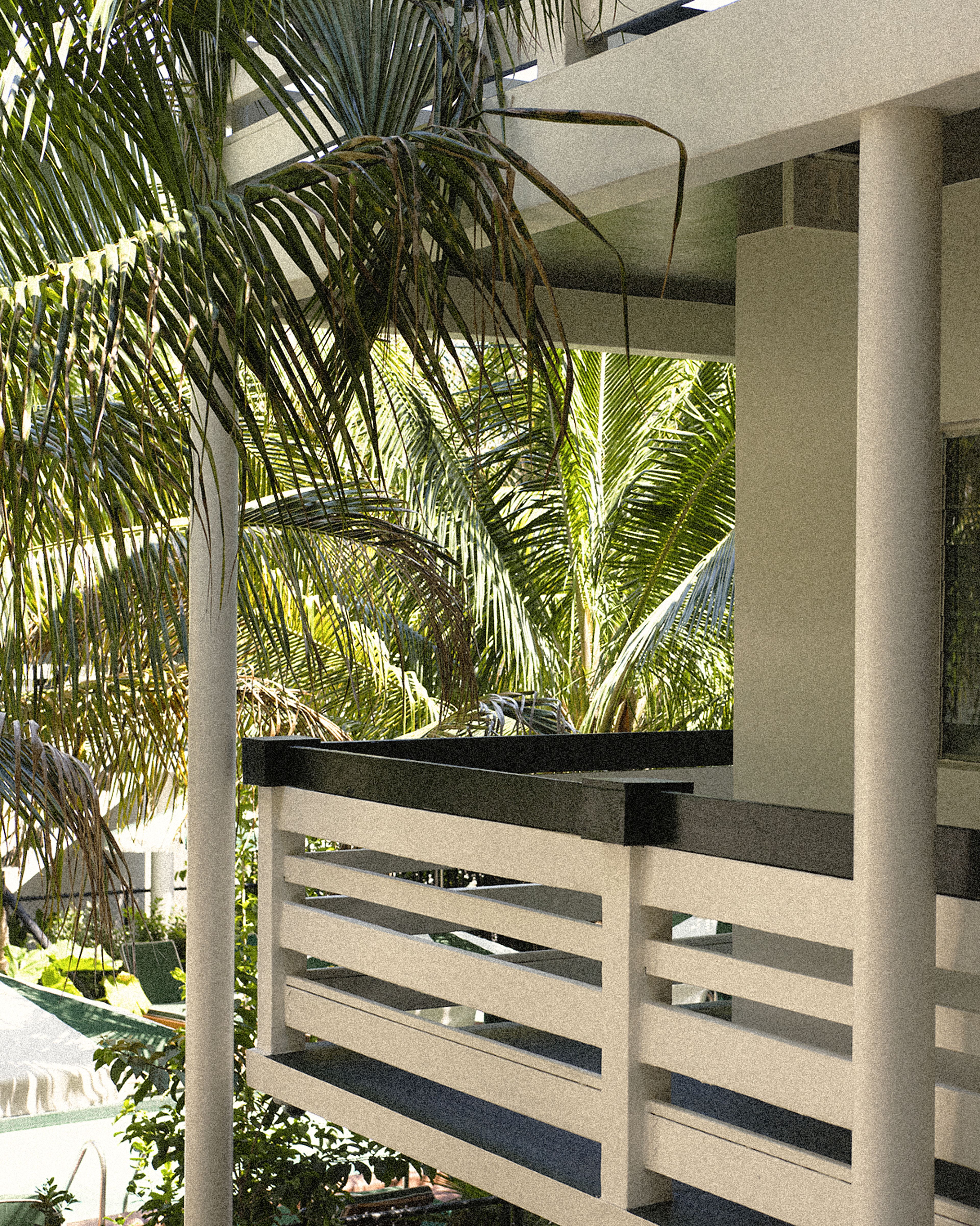 White open-air balcony overlooking lush tropical landscaping and the pool courtyard at Perroquet Hotel.