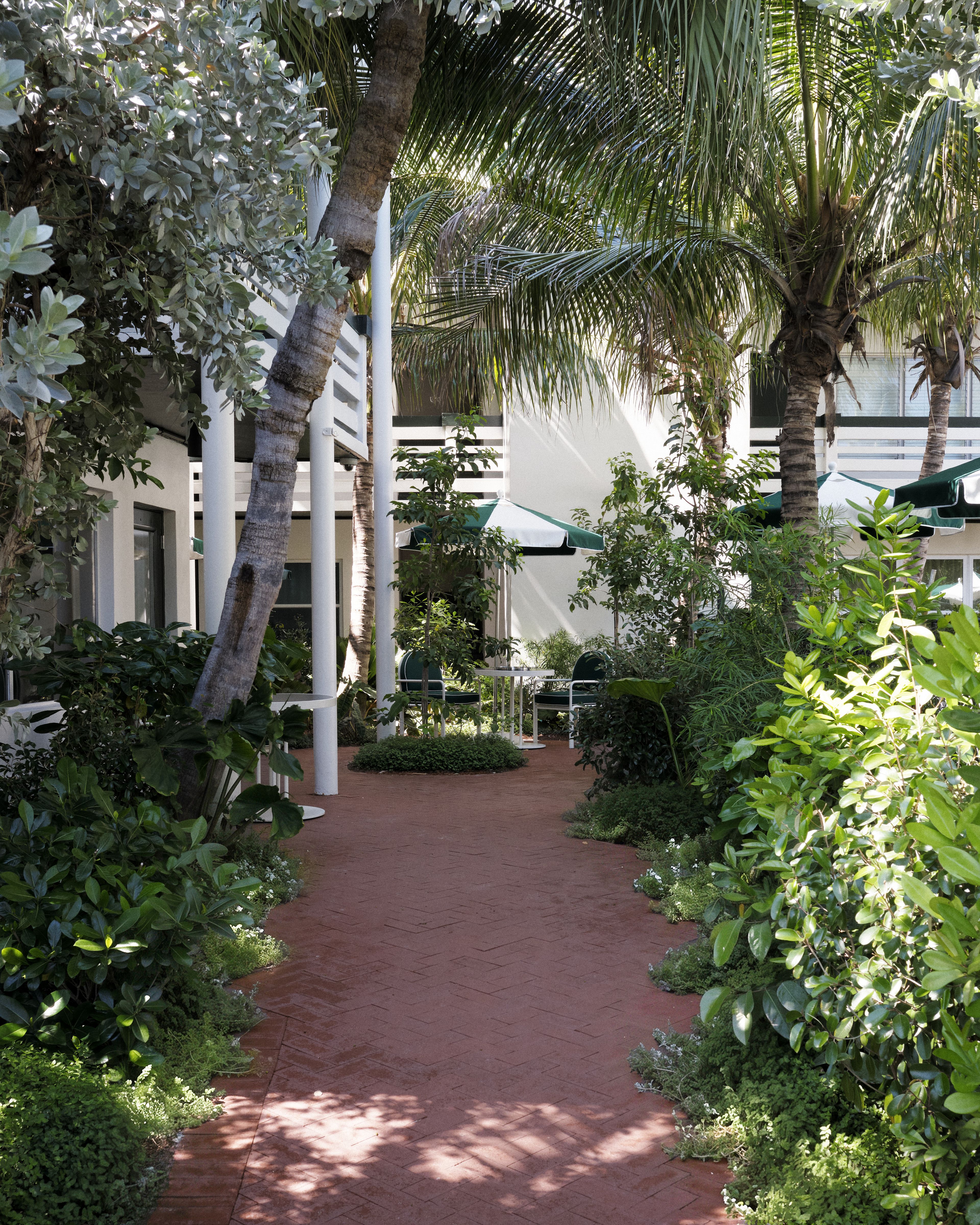 Perroquet Hotels