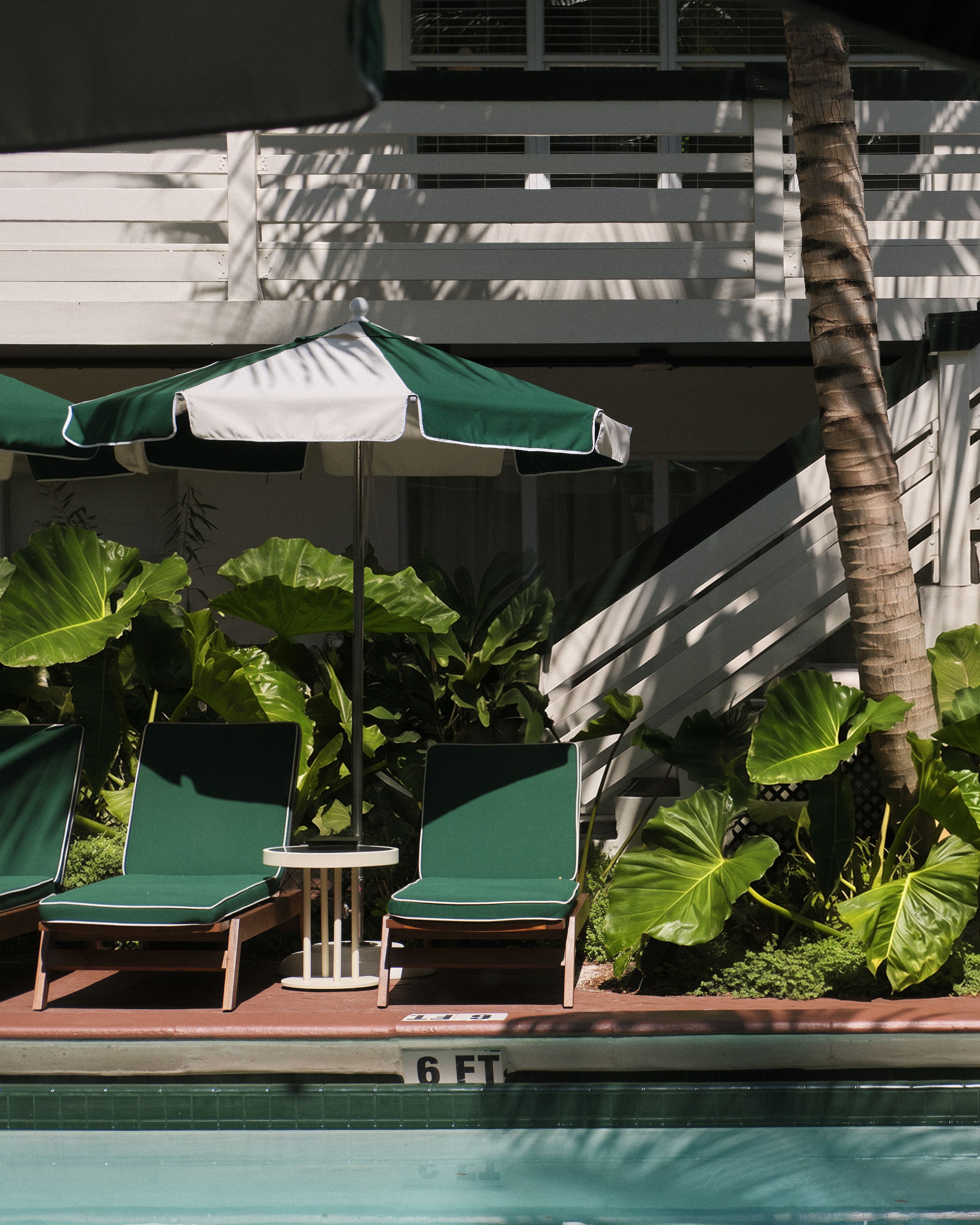 Perroquet Hotels