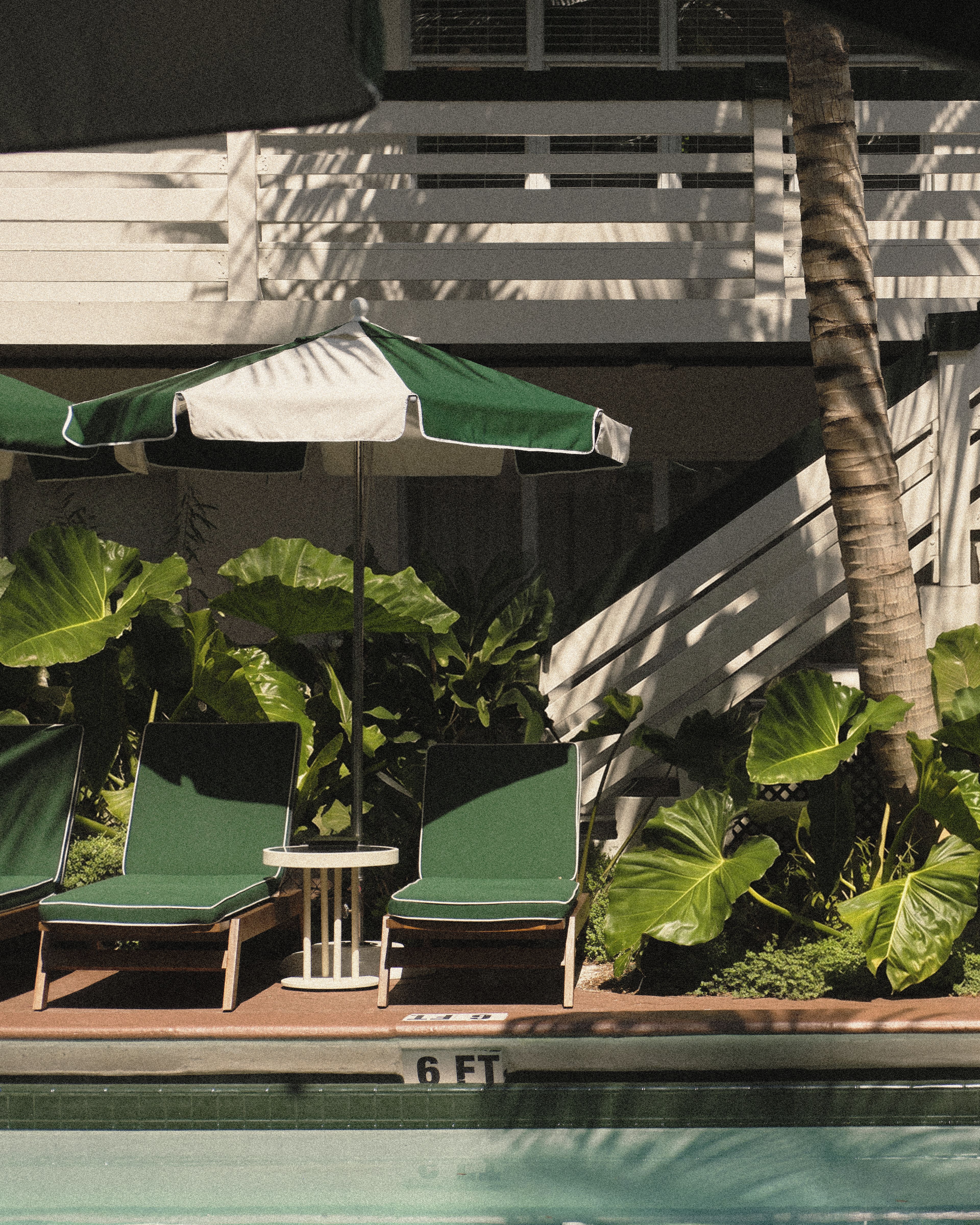 Green-and-white striped umbrella shading lounge chairs beside the pool at Perroquet Hotel in Fort Lauderdale.