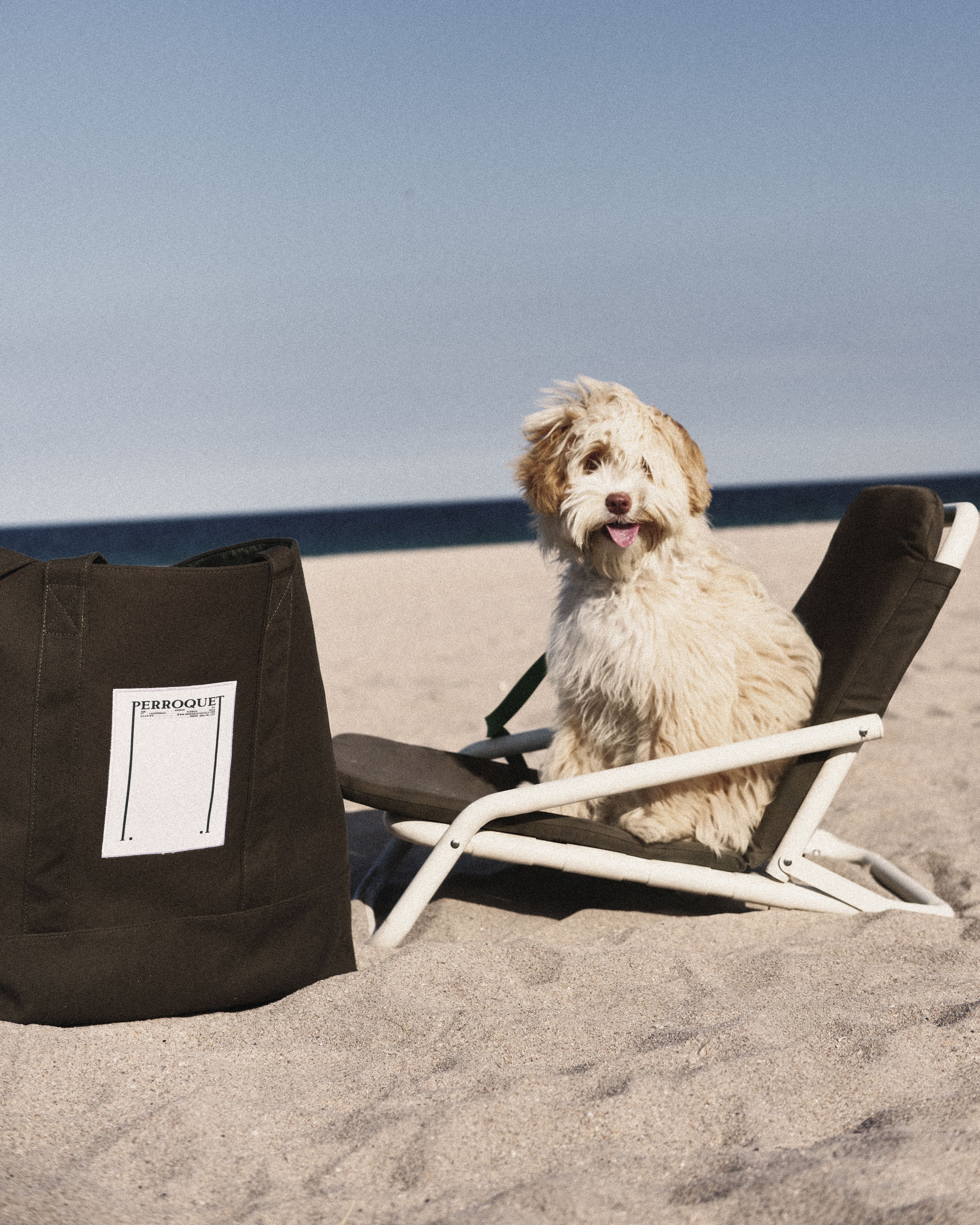 A shaggy cream-and-tan dog sitting on a beach lounge chair beside an olive green Perroquet tote bag, with the ocean in the background.