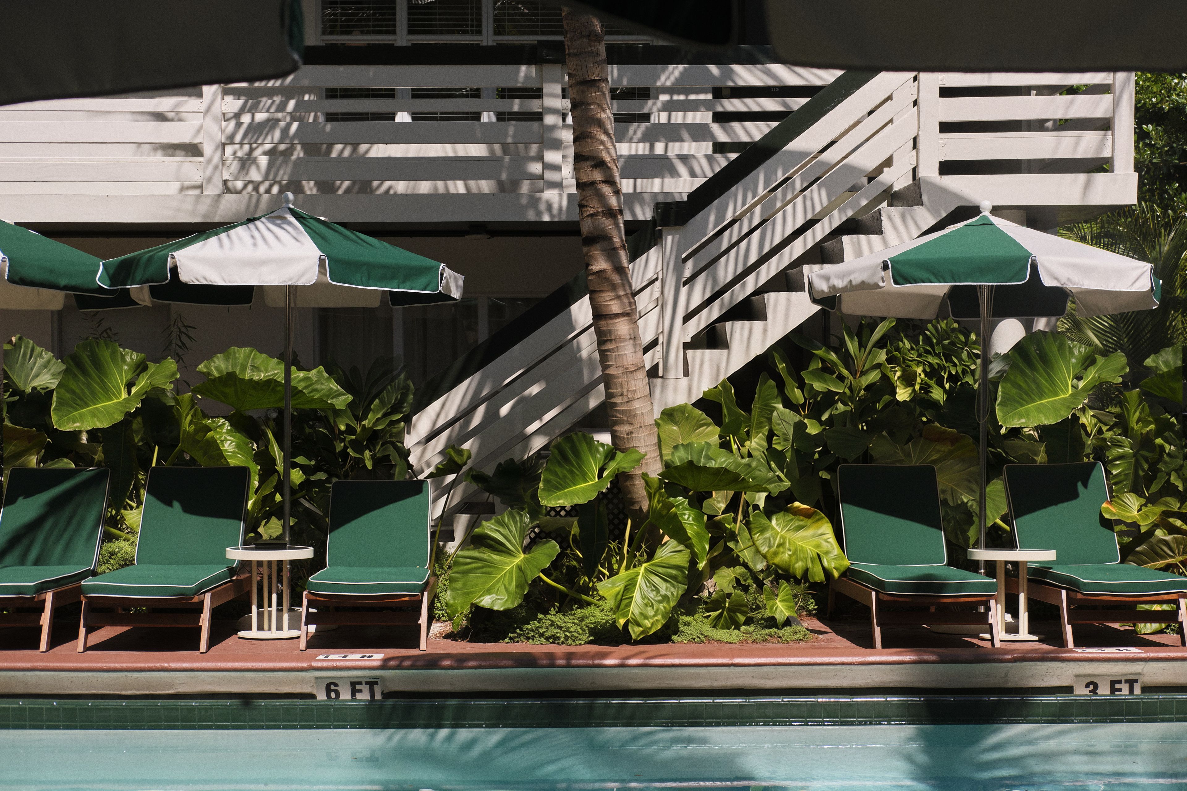 Perroquet Hotels