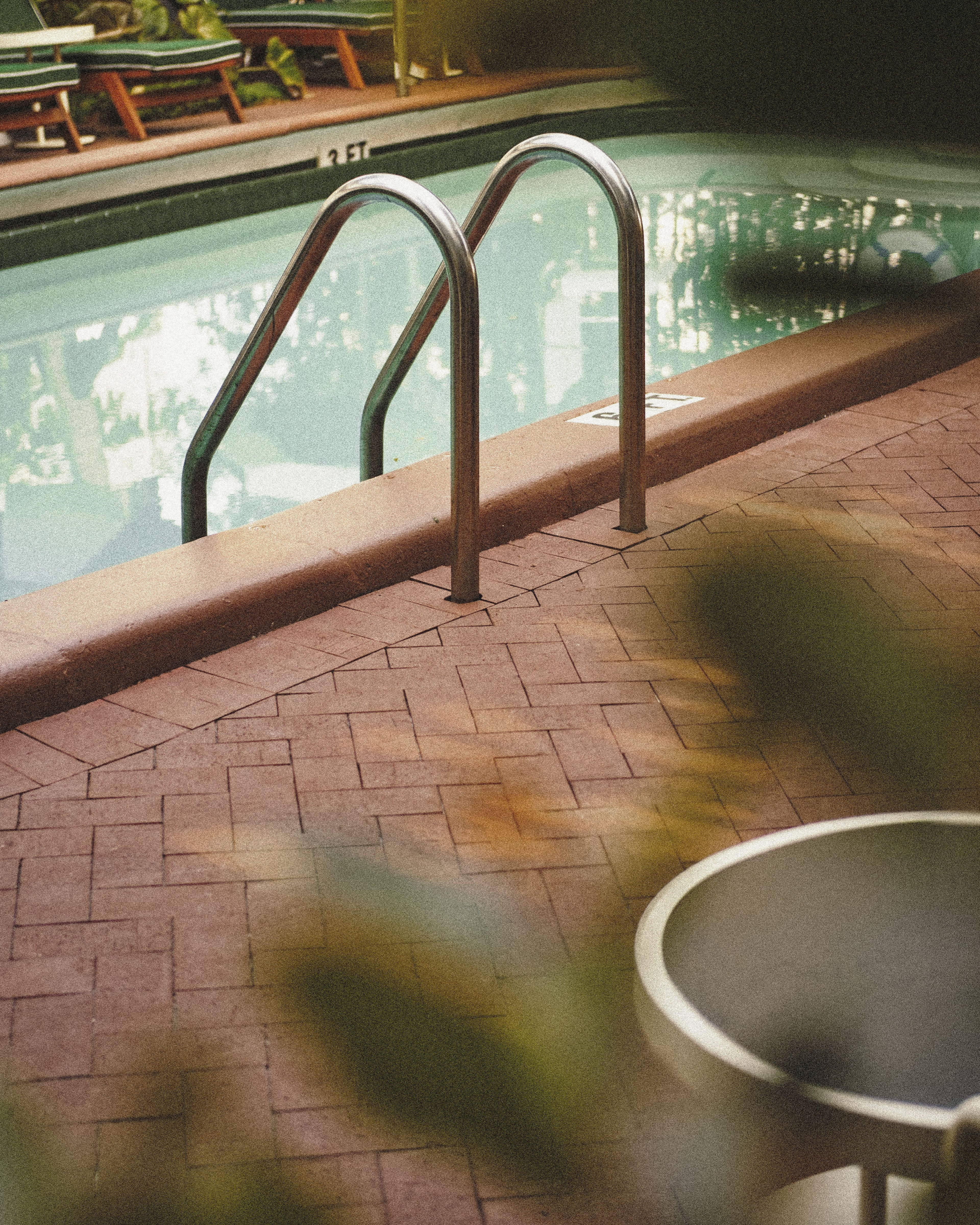 Swimming pool at Perroquet Hotel in Fort Lauderdale featuring crystal-clear water, terracotta pool deck, tropical landscaping, and comfortable lounge seating in a relaxed boutique hotel setting.