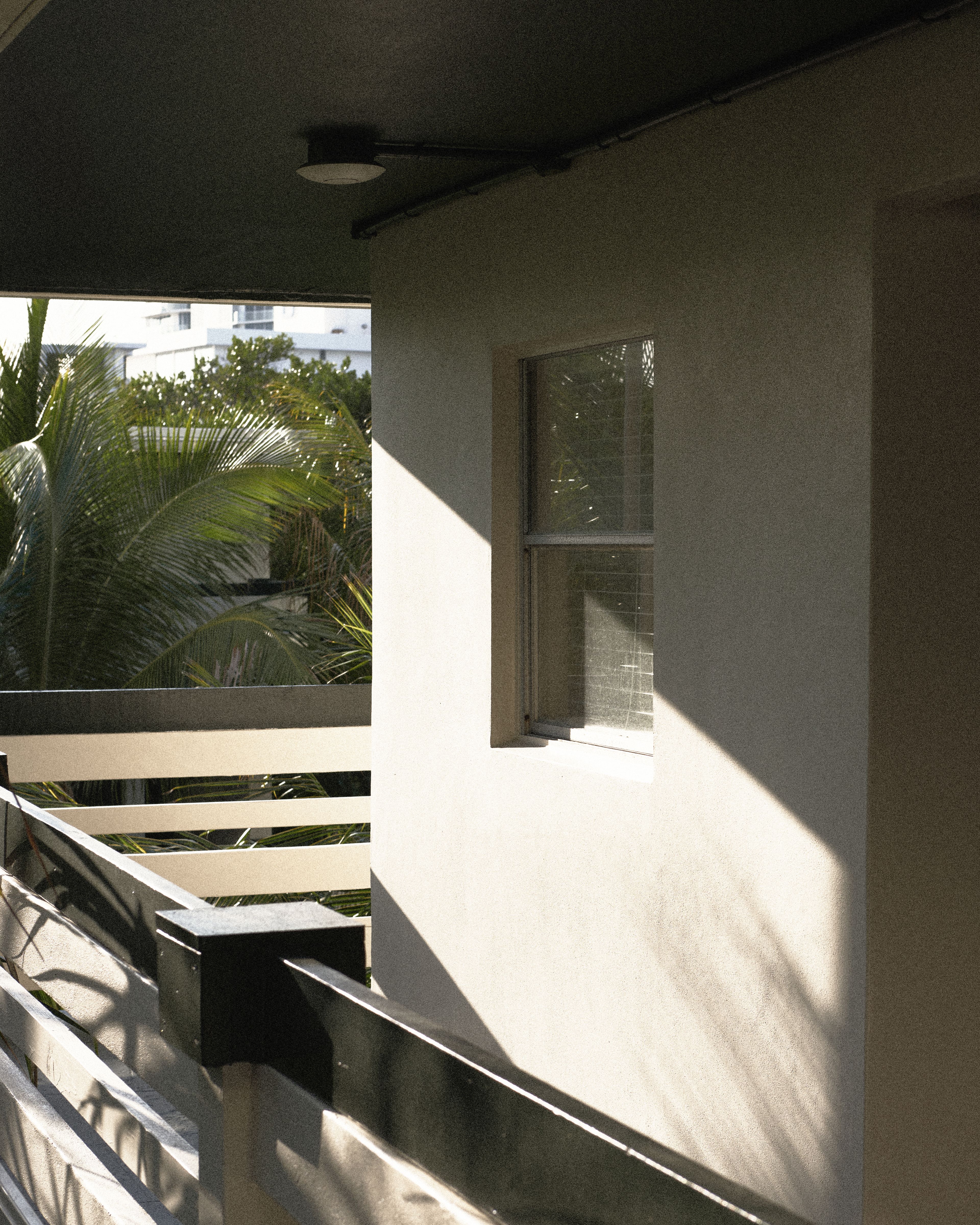 Open-air hotel corridor with white modern architecture, tropical palms, and warm afternoon light at Perroquet Hotel.