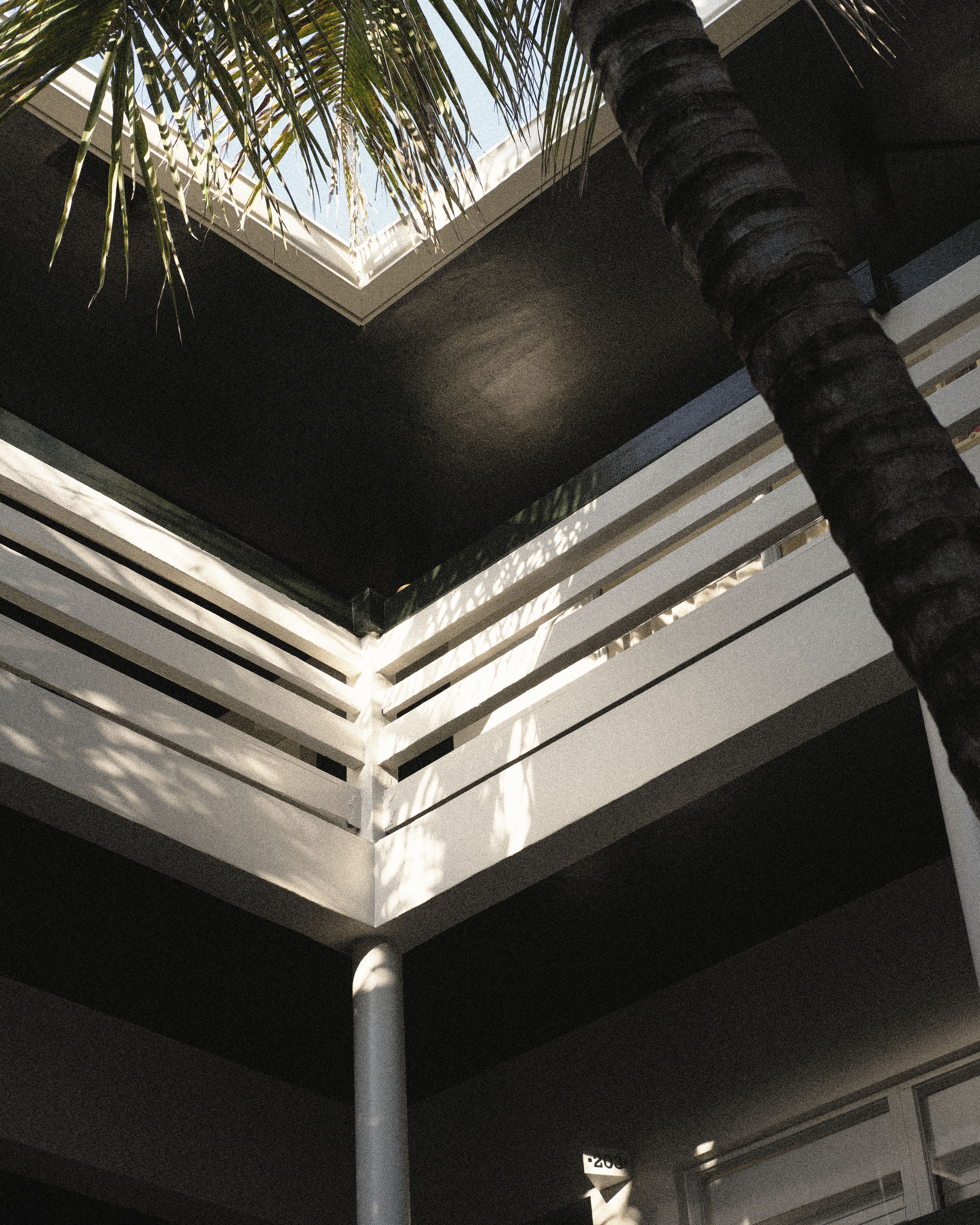 Upward architectural view of the hotel's white balcony railings and dark ceiling detail, with a palm trunk in the foreground.