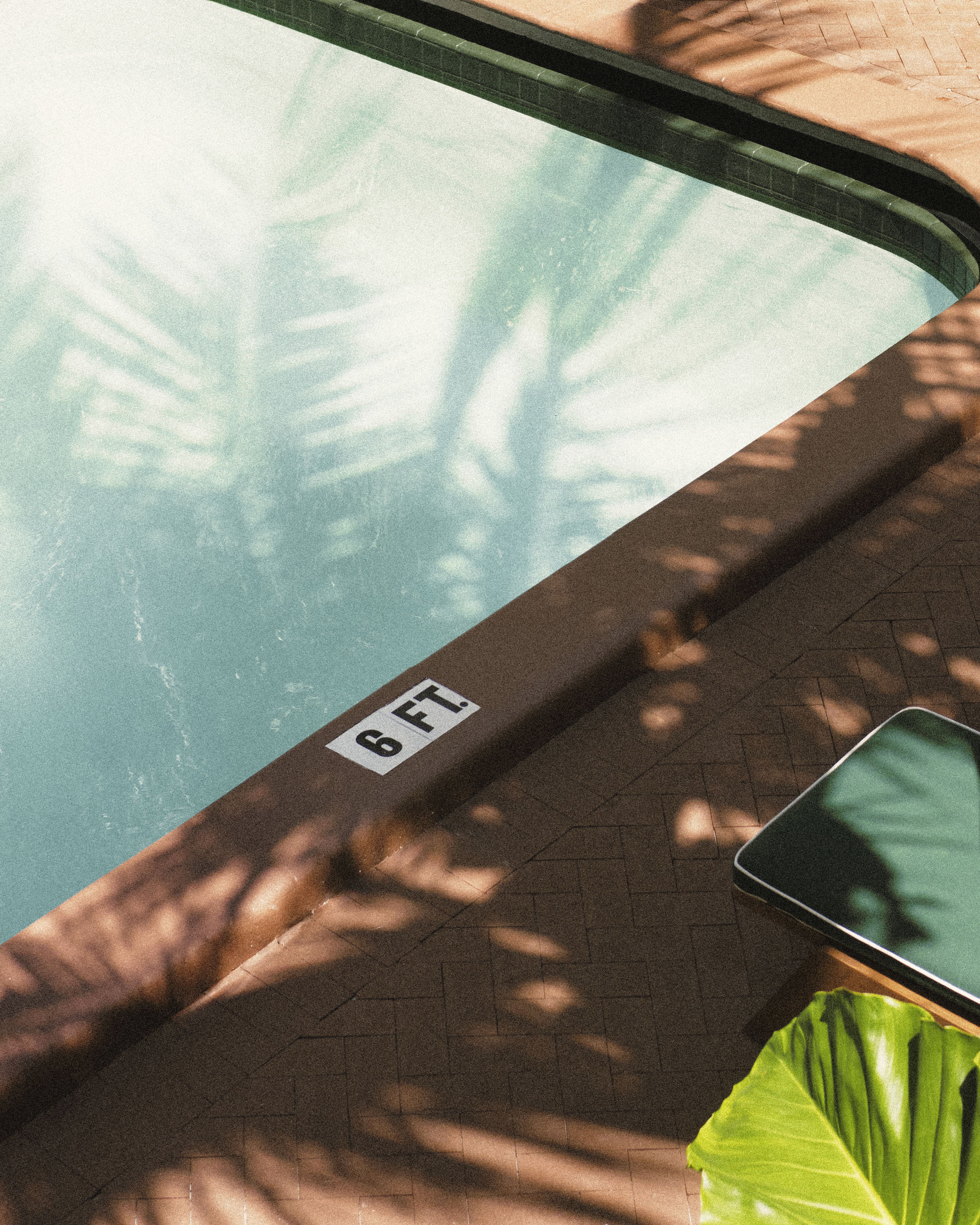 Outdoor swimming pool at Perroquet Hotel in Fort Lauderdale featuring crystal-clear water, terracotta pavers, tropical palm reflections, and a relaxing boutique hotel setting.