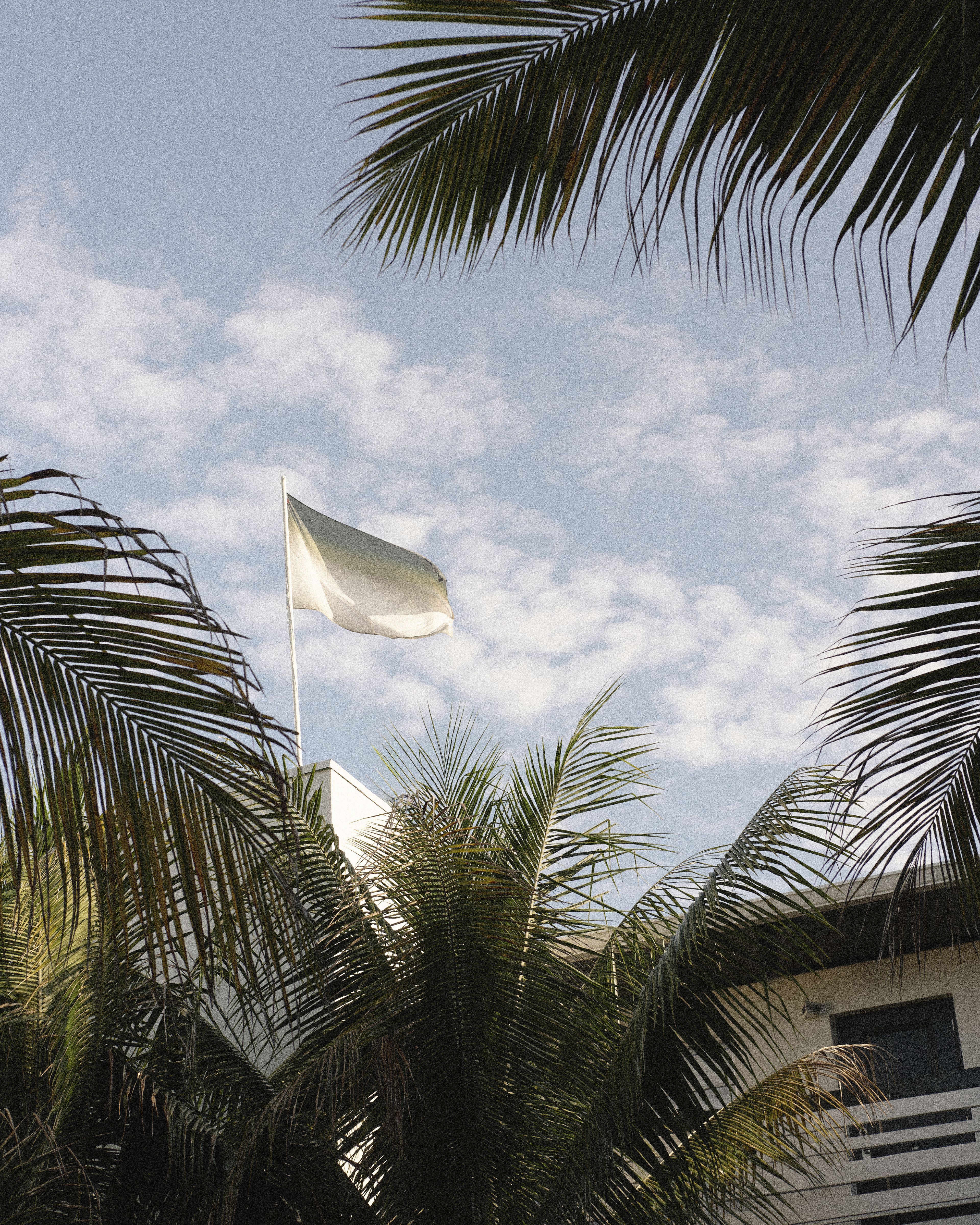 Green ombre hotel flag waving above lush palm trees against a blue sky at Perroquet Hotel in Fort Lauderdale.