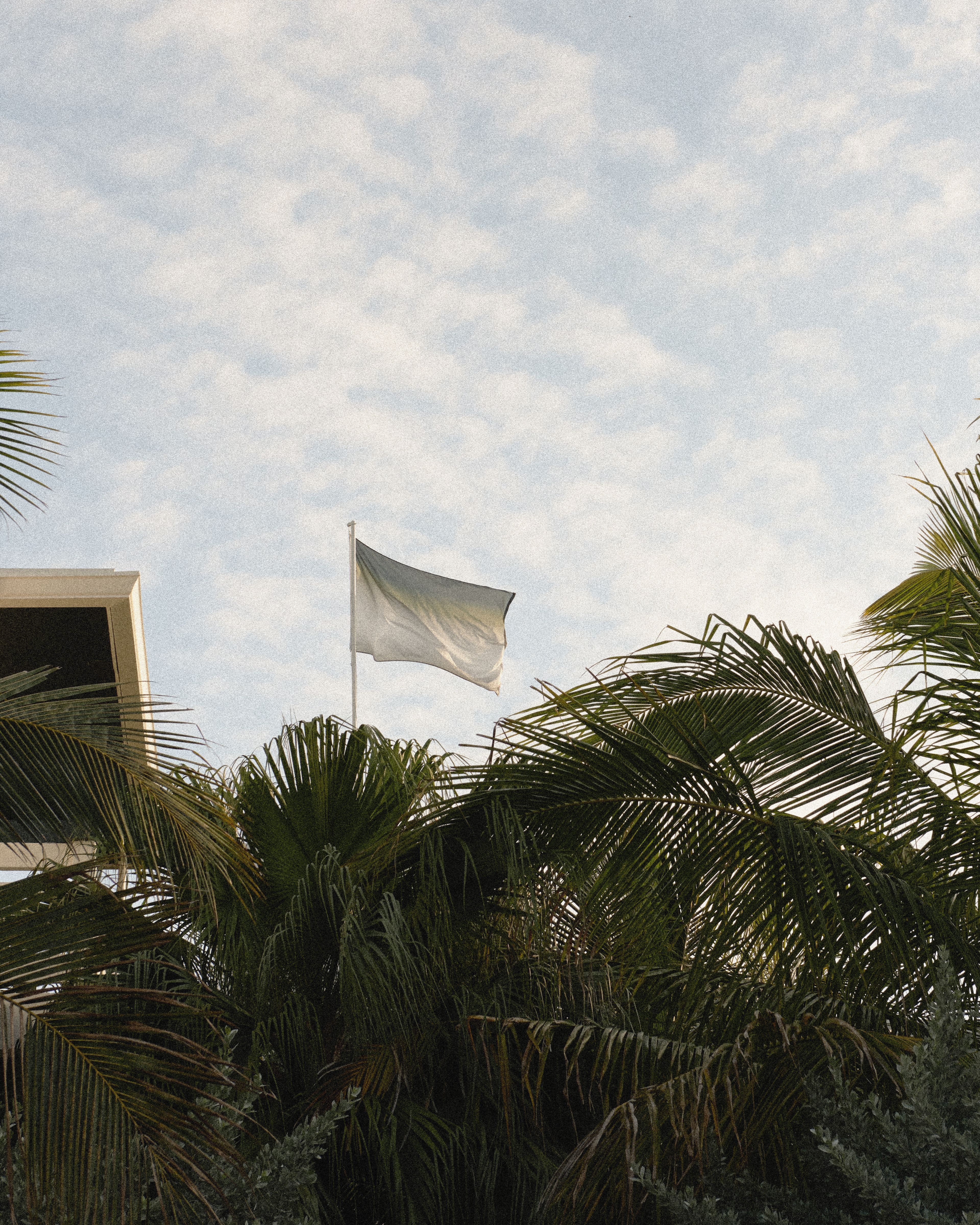 A green ombre flag waving atop a pole against a cloudy sky, rising above palm trees and part of the hotel's rooftop structure.