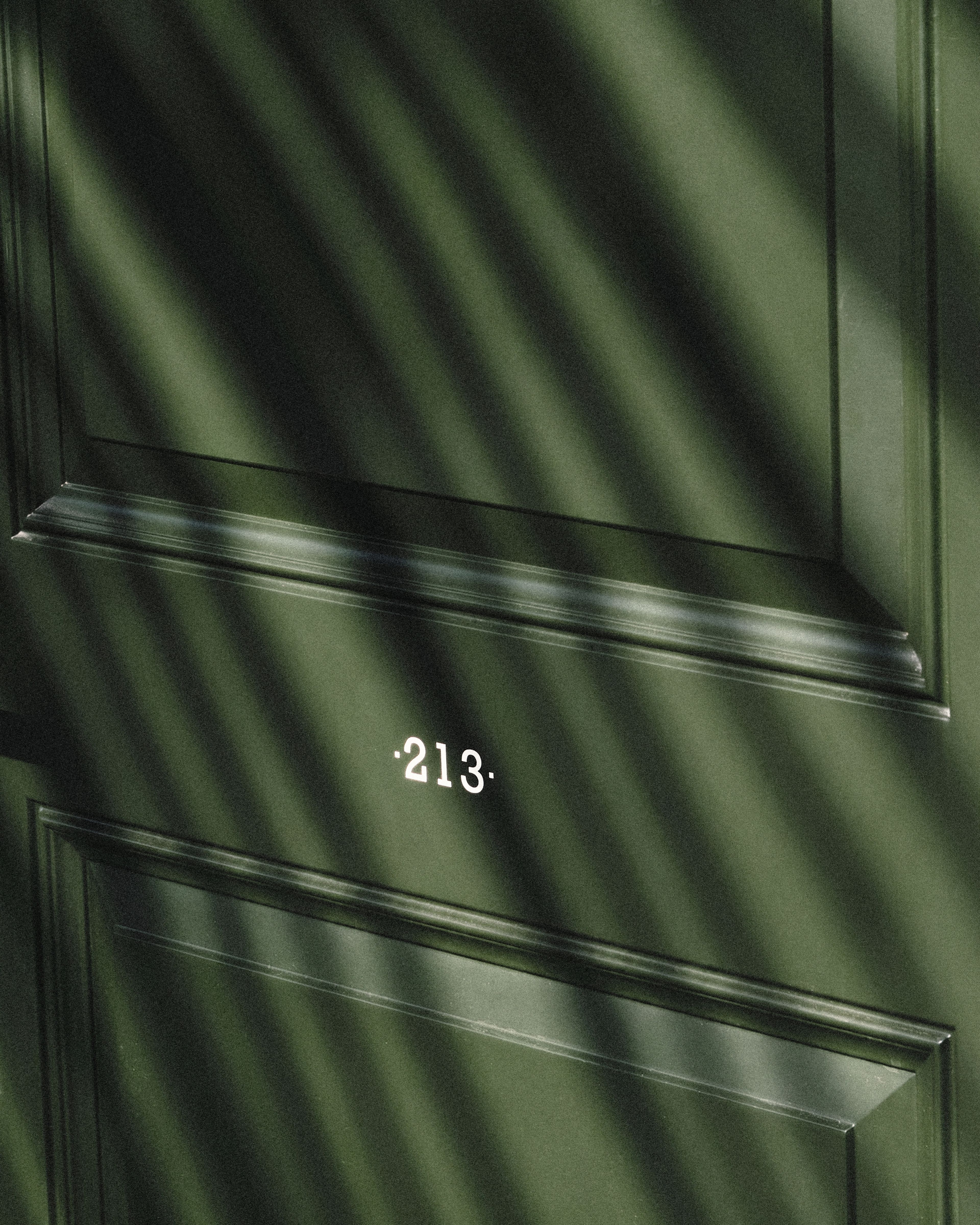 Close-up of a Hunter Green paneled door with the room number "213" in white lettering, dappled palm-frond shadows falling across the surface.