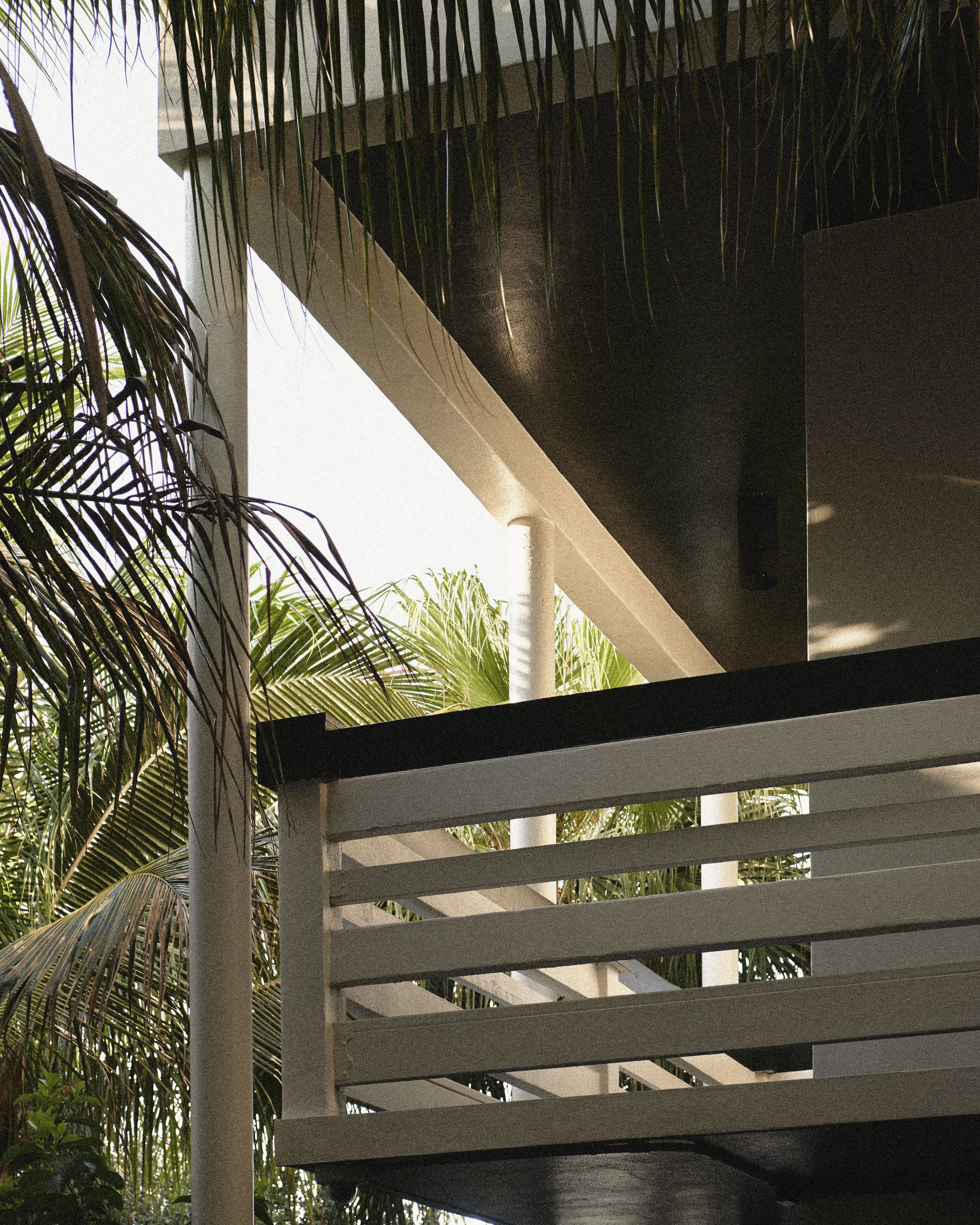 Contemporary boutique hotel architecture at Perroquet Hotel in Fort Lauderdale featuring white balconies, geometric lines, lush palm trees, and a tropical coastal atmosphere.