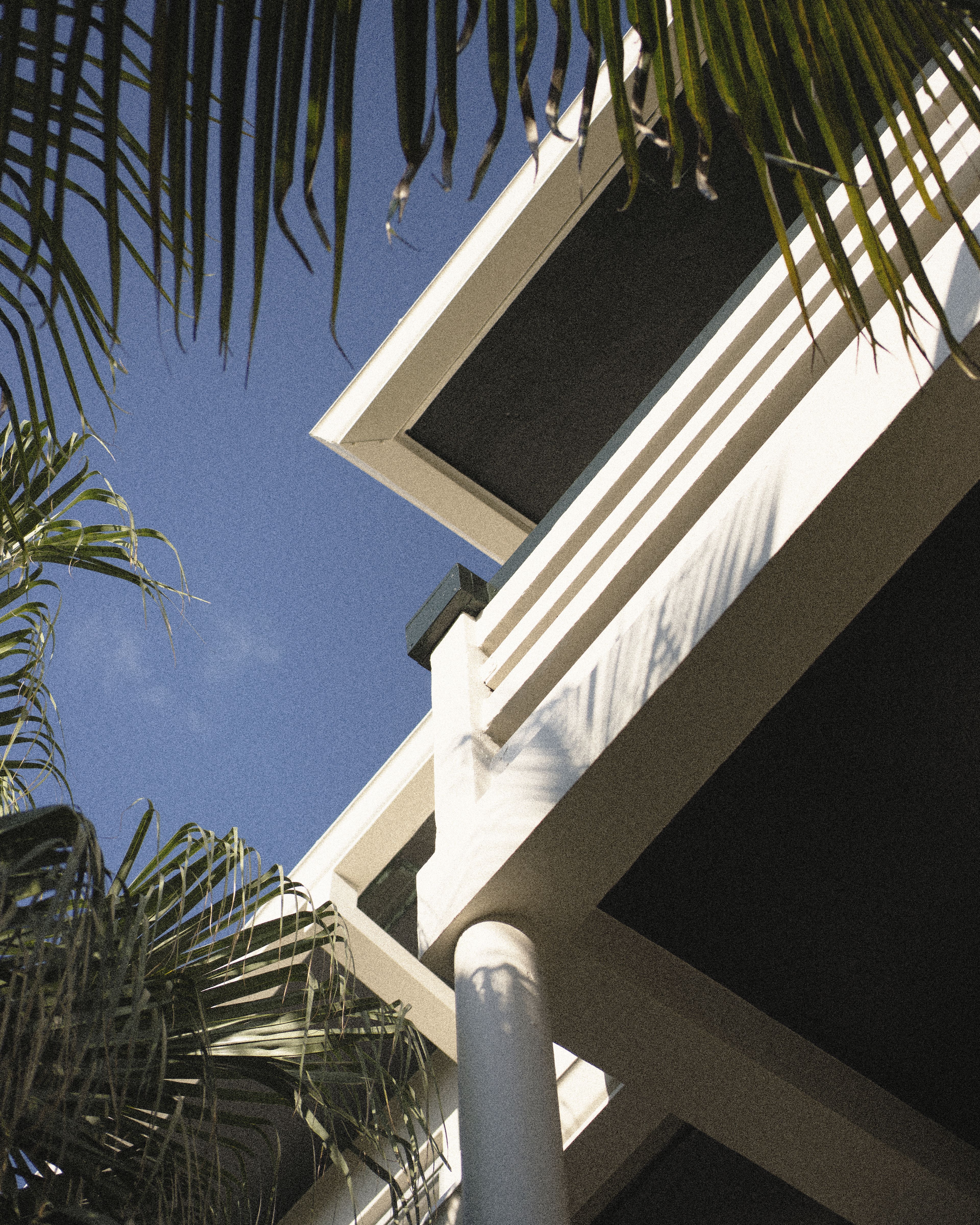 Modern white hotel balconies framed by palm fronds against a clear blue sky at Perroquet Hotel.