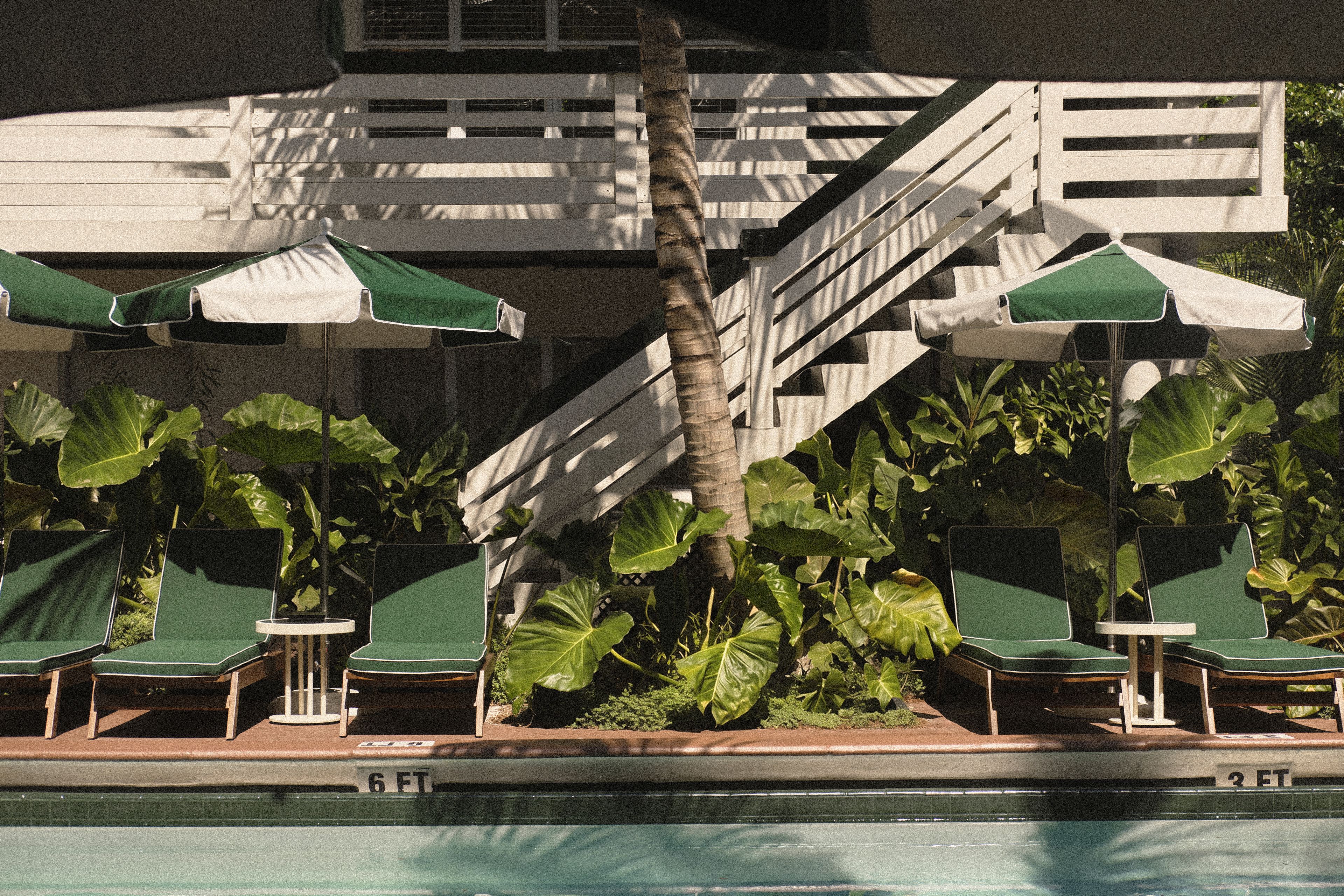 Symmetrical pool deck with green lounge chairs, striped umbrellas, and lush tropical landscaping at Perroquet Hotel.