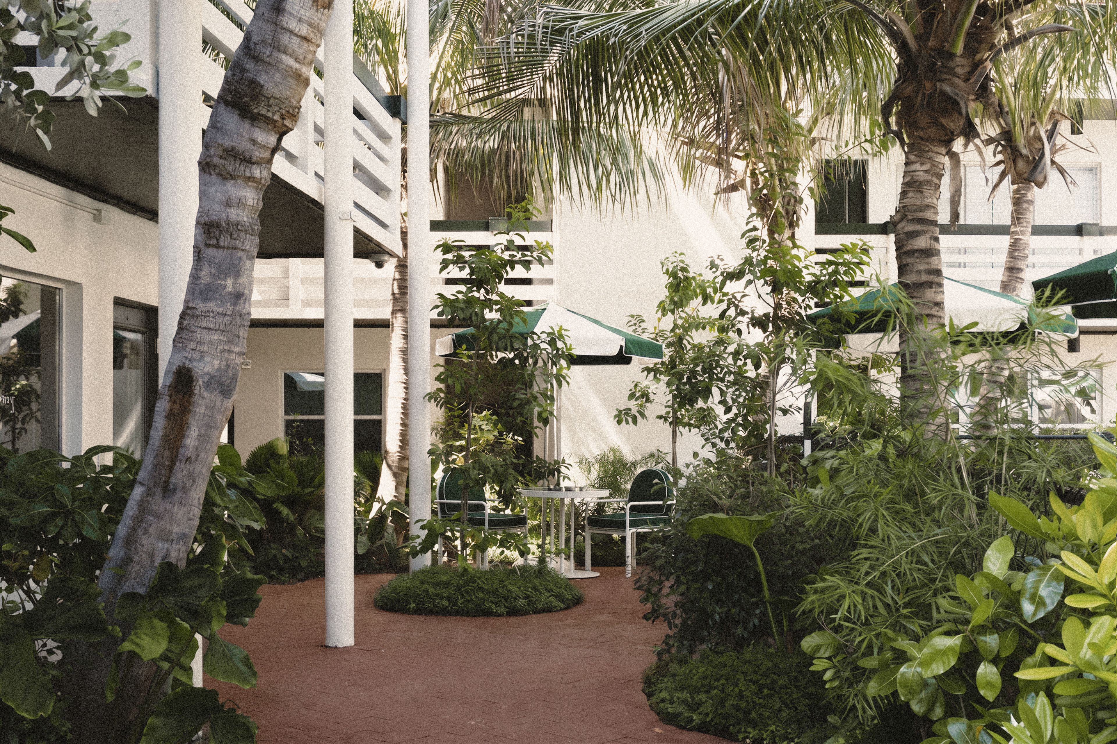 Tropical courtyard at Perroquet Hotel in Fort Lauderdale with lush landscaping, swaying palm trees, white modern architecture, shaded outdoor seating, and a serene boutique hotel atmosphere.