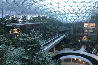 Canopy walkway beneath the dome