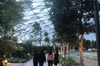 Visitors walking through the Canopy Park