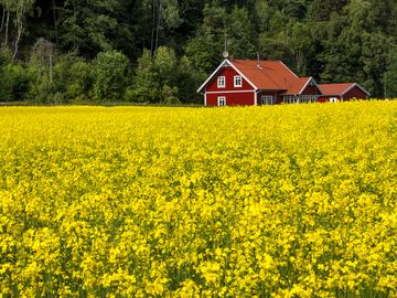 BAGA Effektiv avloppsanläggning