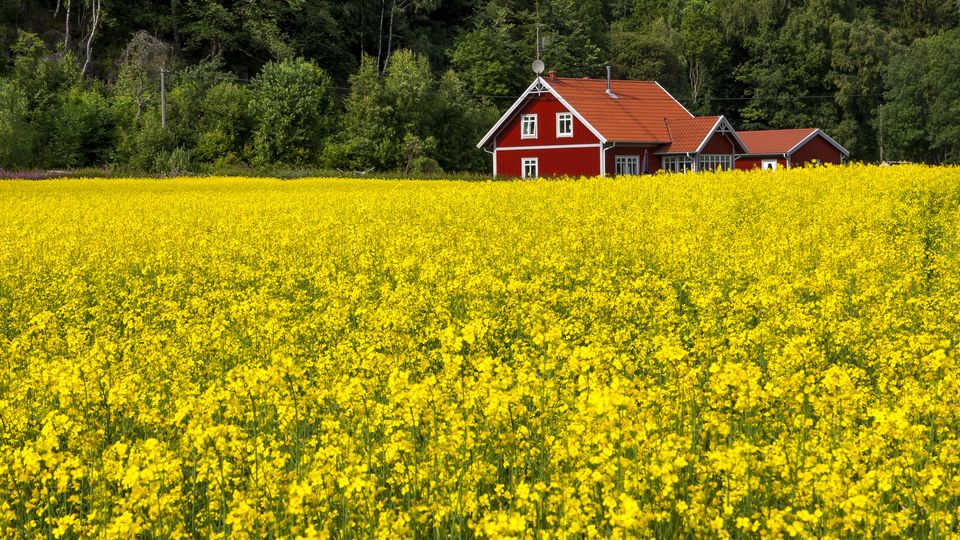 BAGA Effektiv avloppsanläggning
