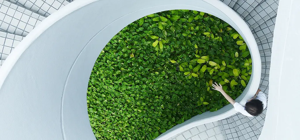 Person reaching green plants on stairs