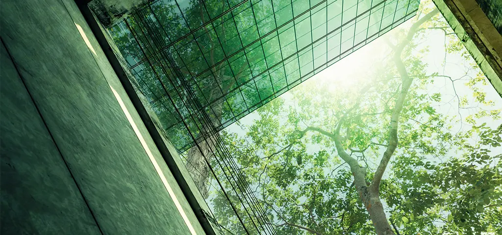Building and green tree