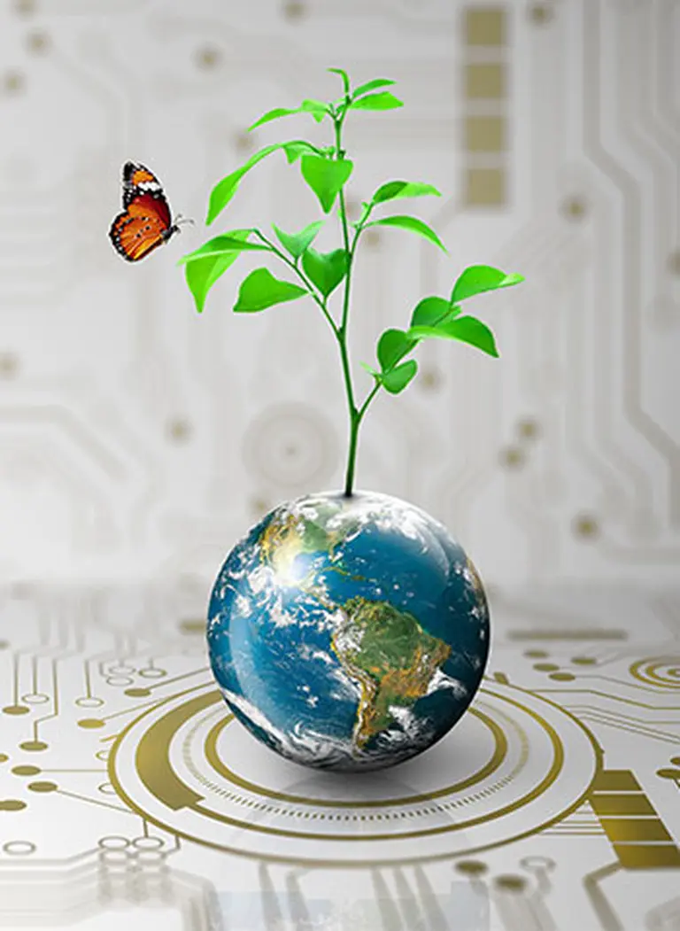 Tree sprouting from globe