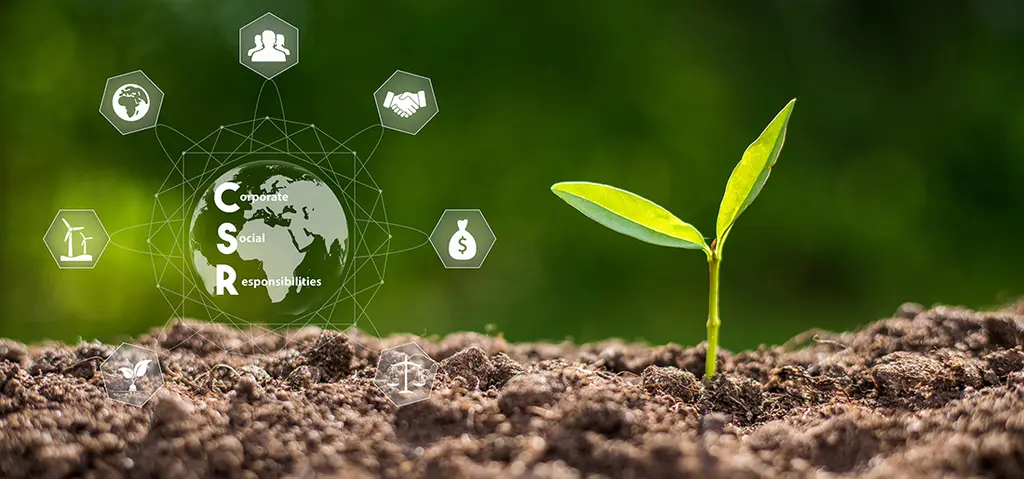 Sprout from soil and CSR letters